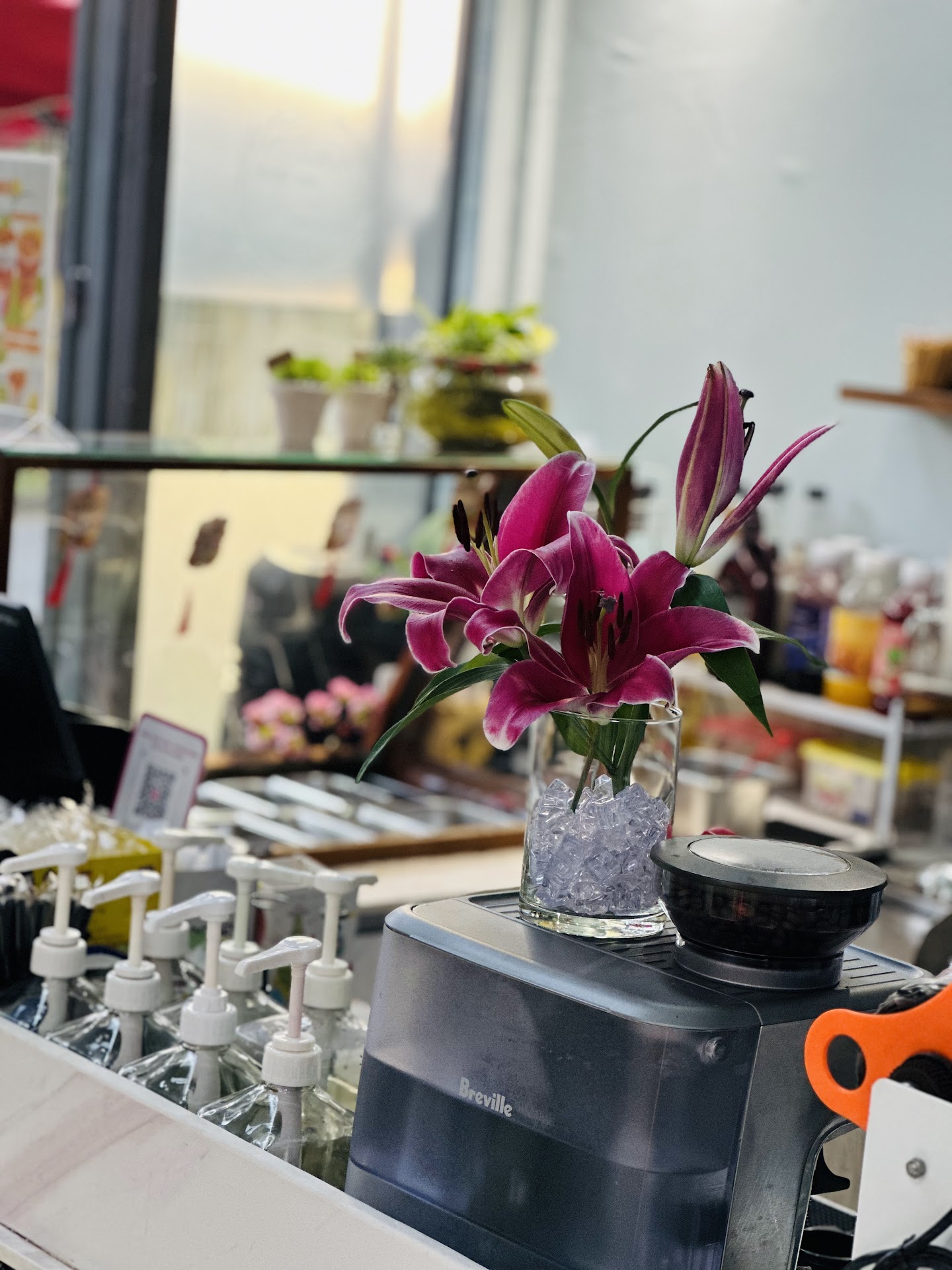 Ghé Meili - Meili Tea & Coffee