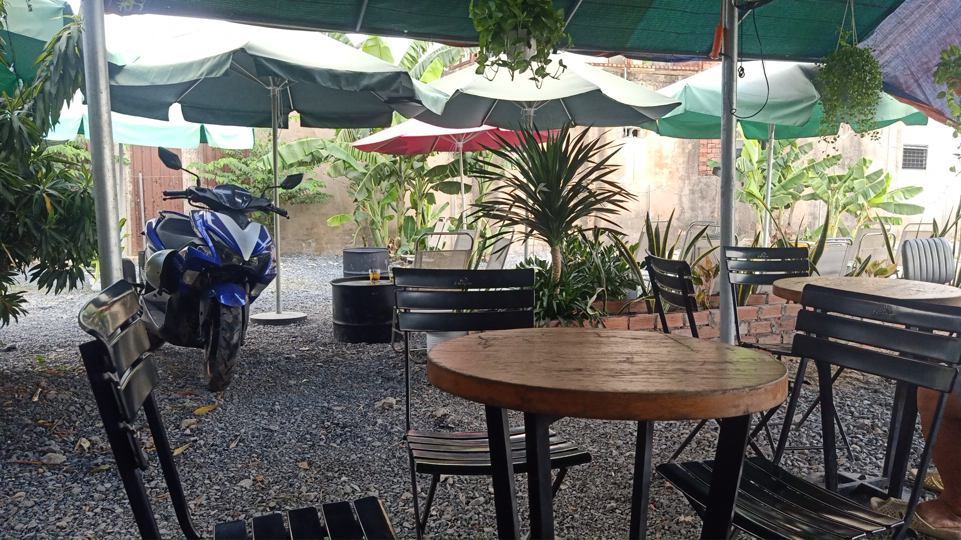 Cafe Võng Sân Vườn Ao Sen