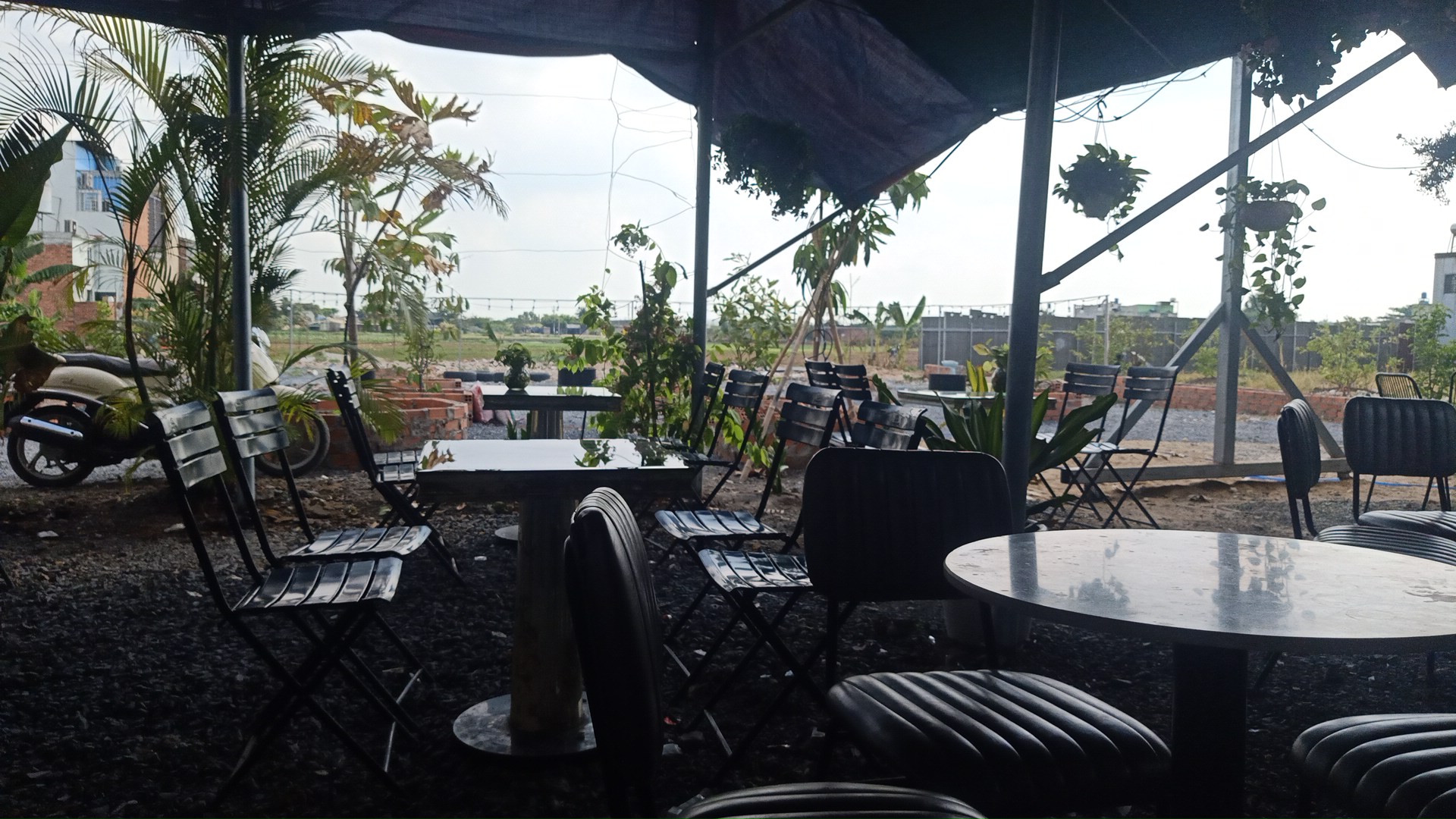 Cafe Võng Sân Vườn Ao Sen