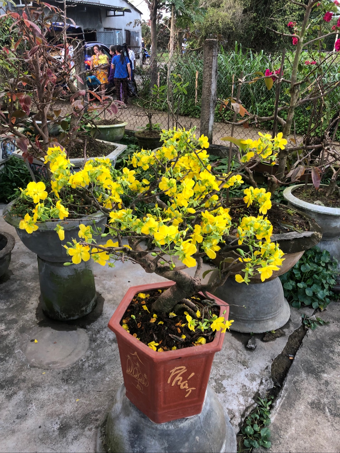 Xoay Espresso Coffee