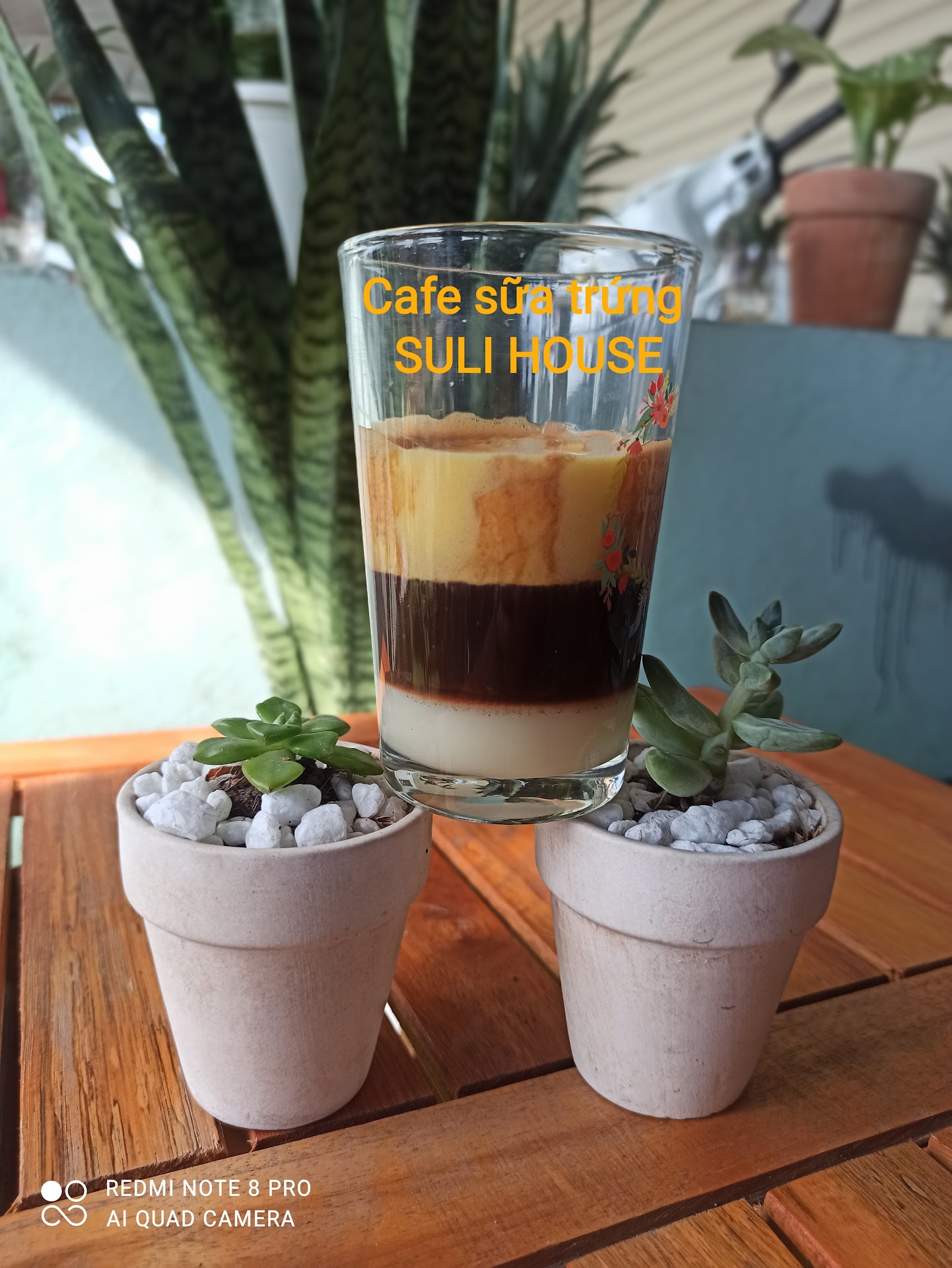 COFFEE & TEA SULI HOUSE