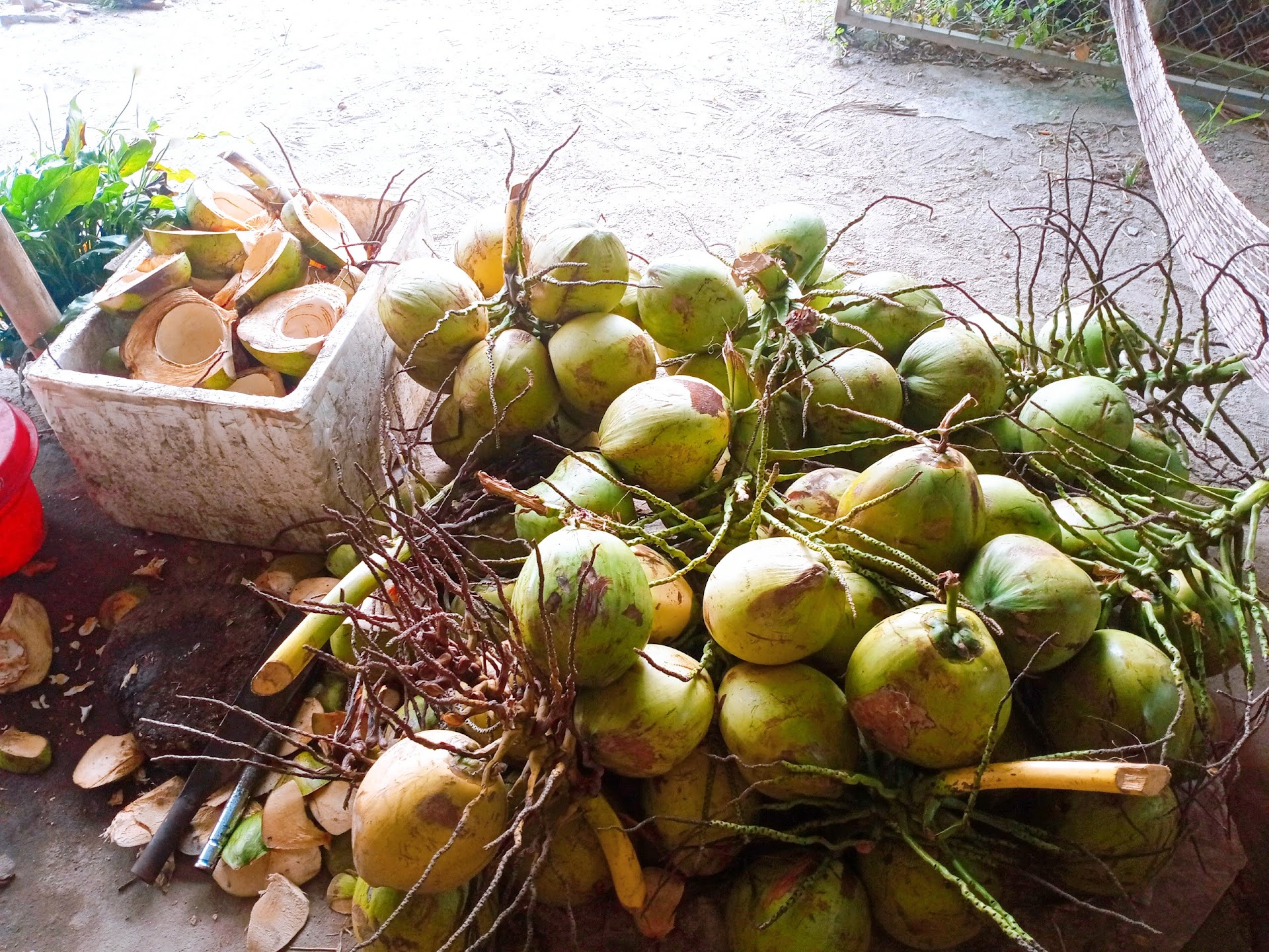 Cafe Vườn Xoài (Phong Điền)