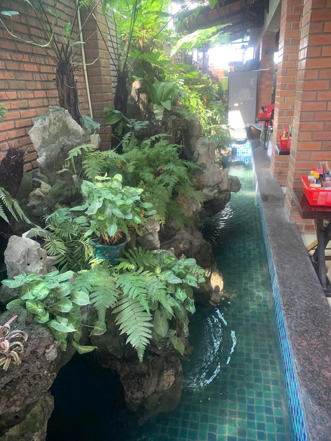 Dũ Cà phê - Trà sữa - Nước ép