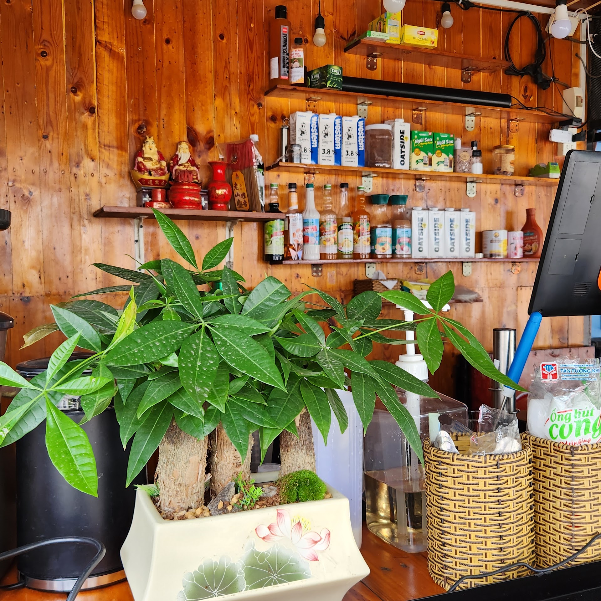 COBEE Cà Phê & Matcha, Cacao