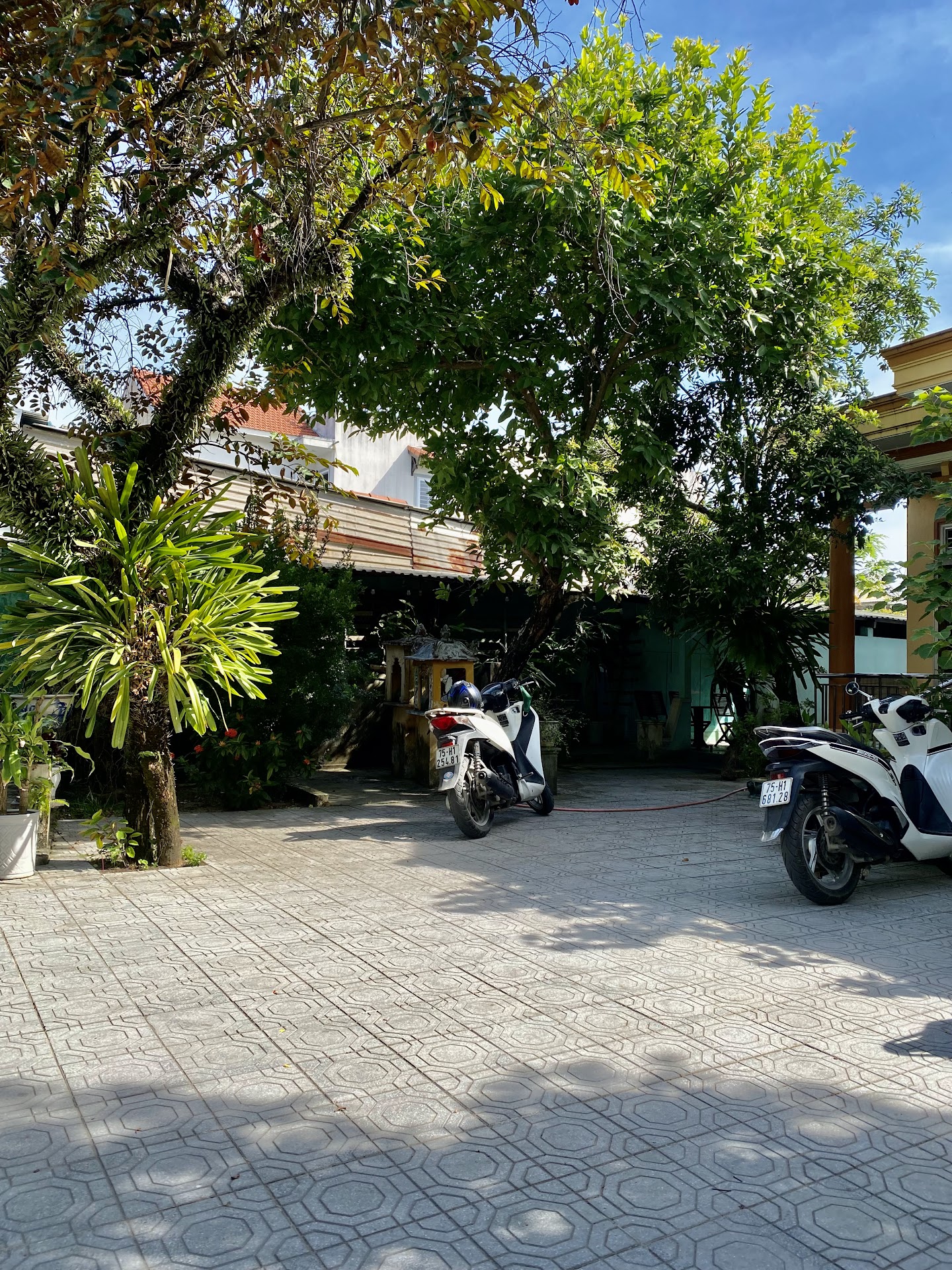 Cà phê Vườn Xoài