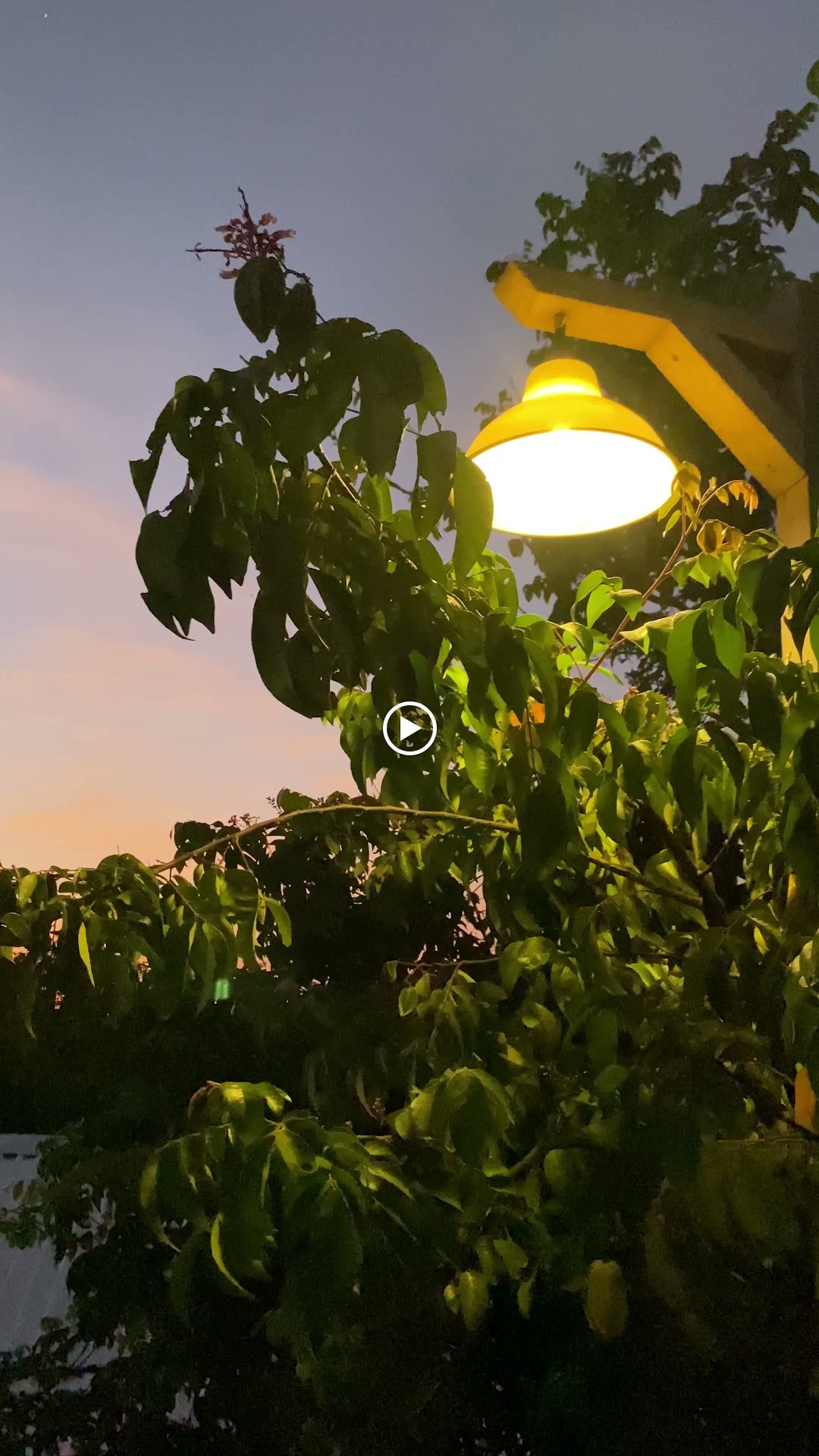 Tiệm Cà Phê Những Ngày Đã Cũ