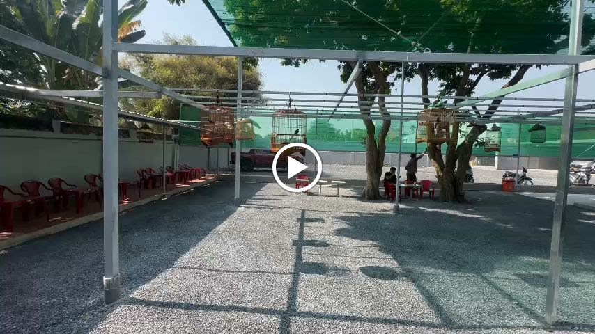 Cà phê chim cảnh Bảo Anh