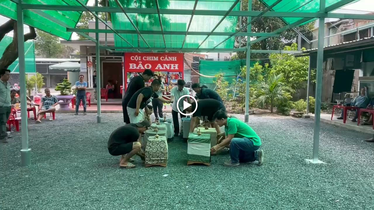 Cà phê chim cảnh Bảo Anh