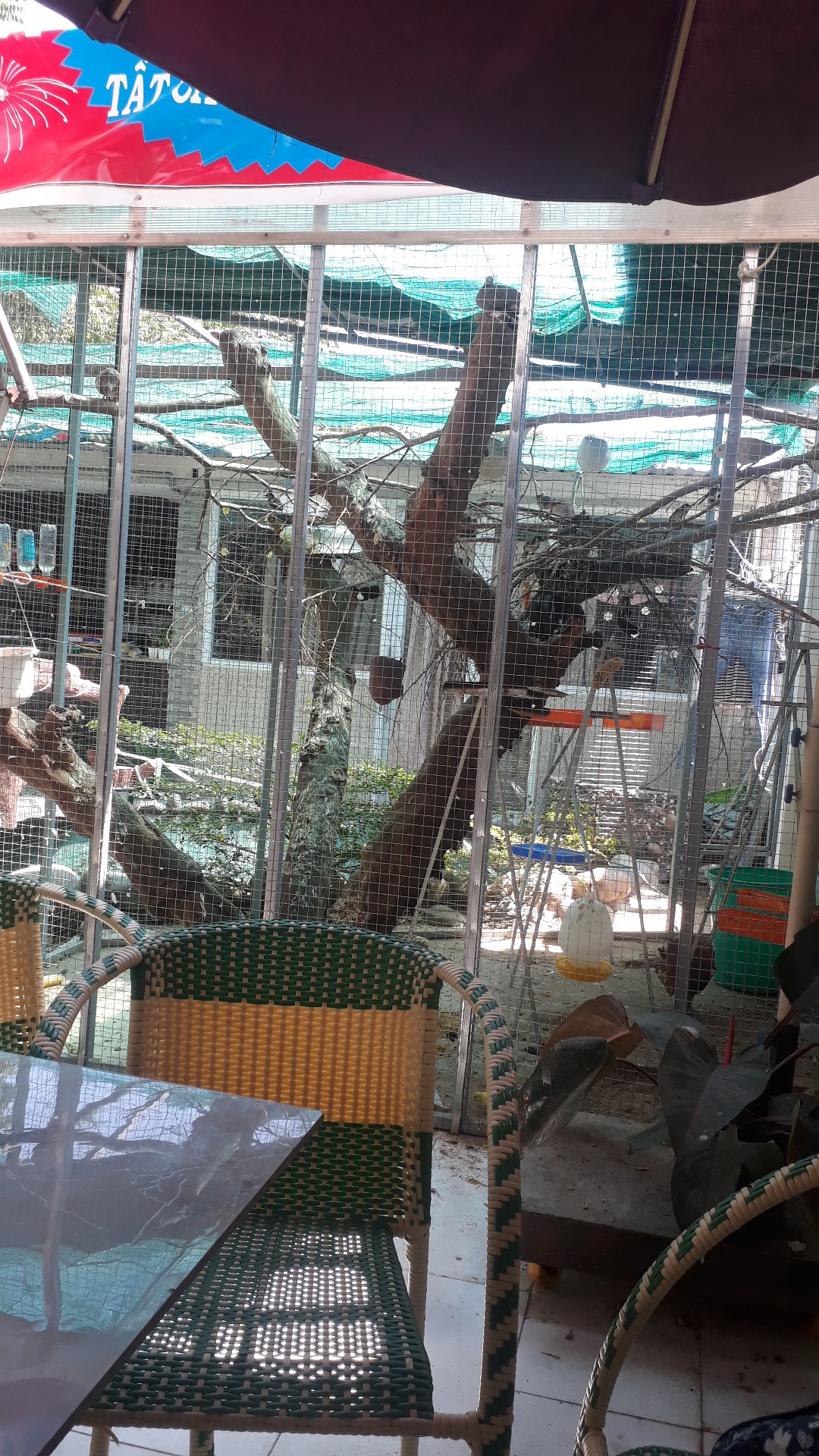 Cafe sân vườn Thủy mộc