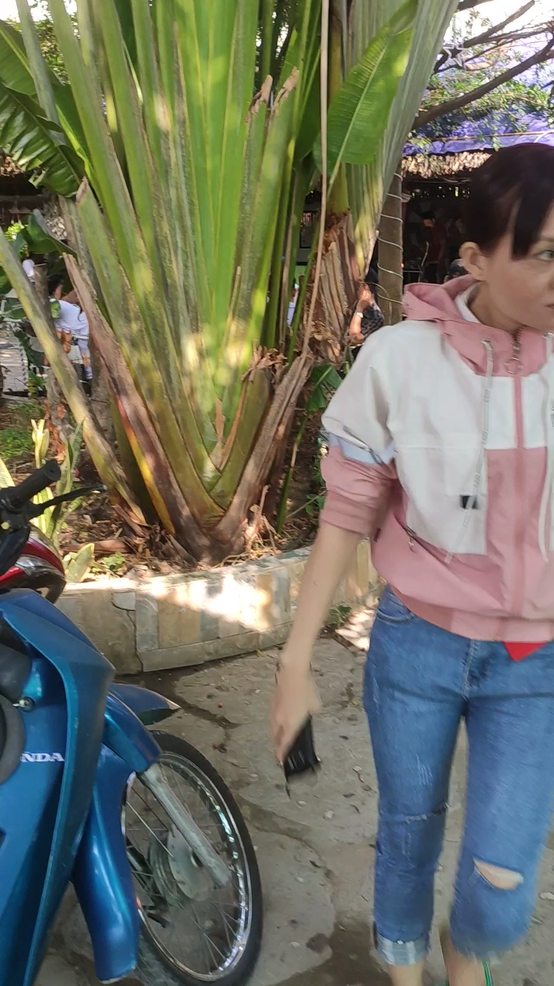 Cafe sân vườn Thủy mộc