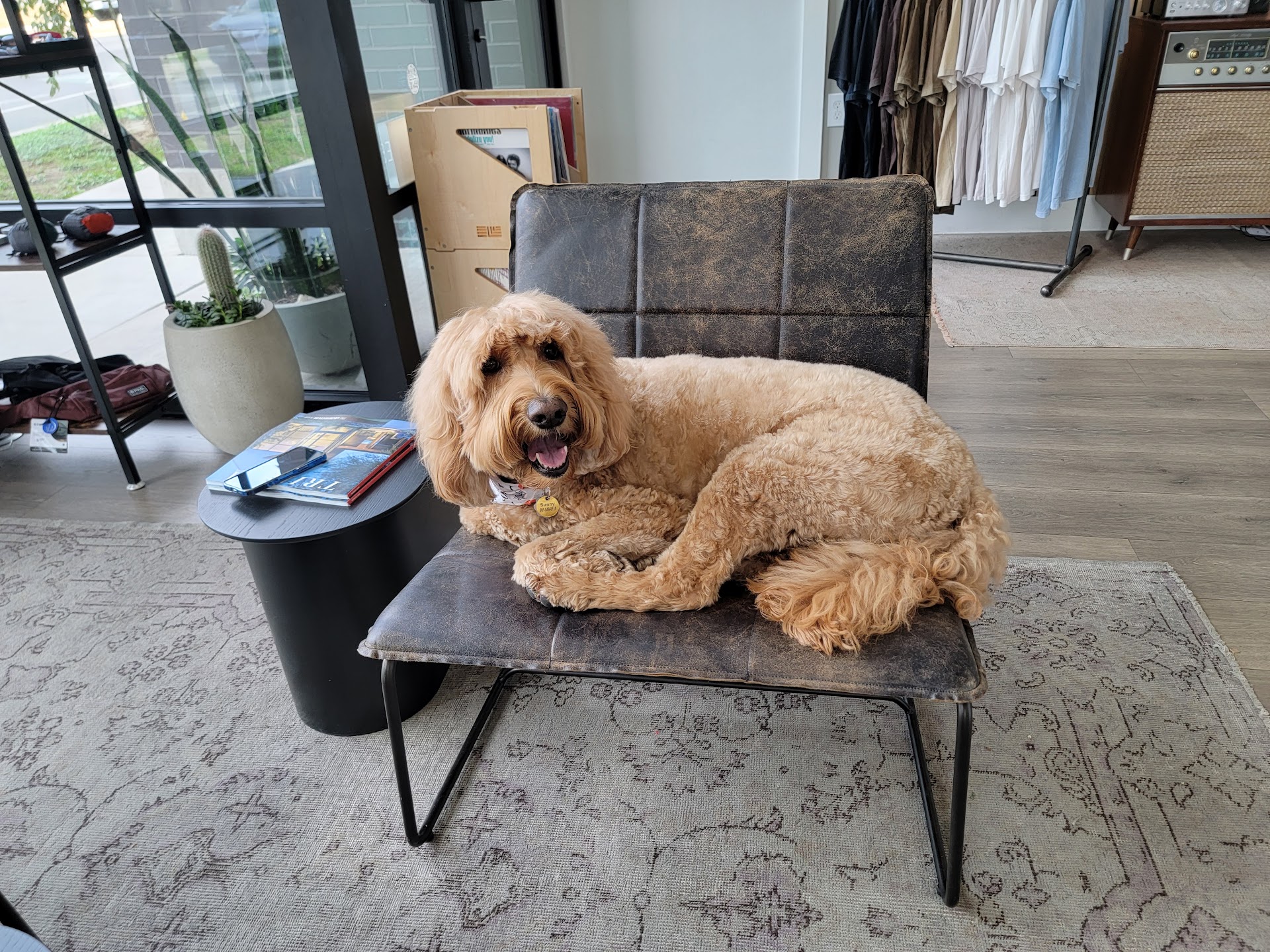 Brother Friend Coffee South