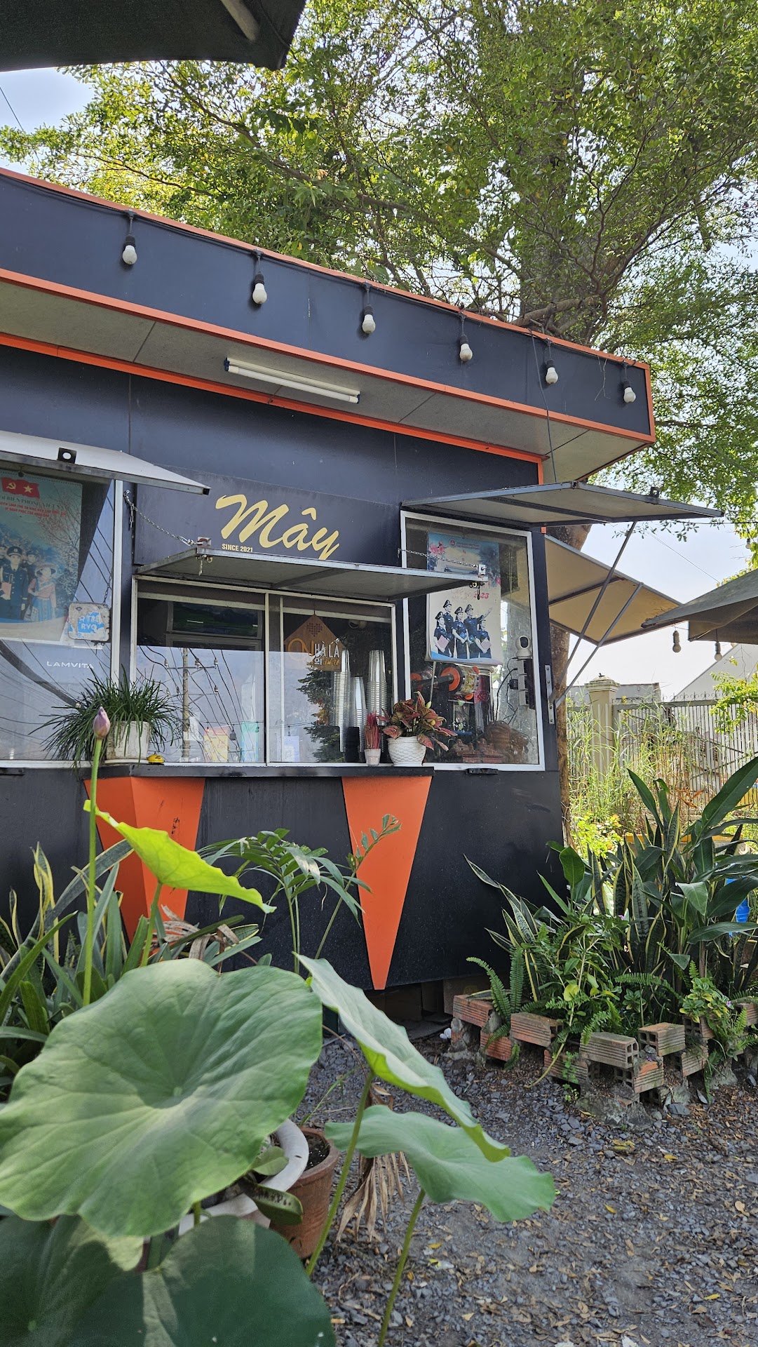 Cafe Mây ( khuyến mãi trà gừng ngon)