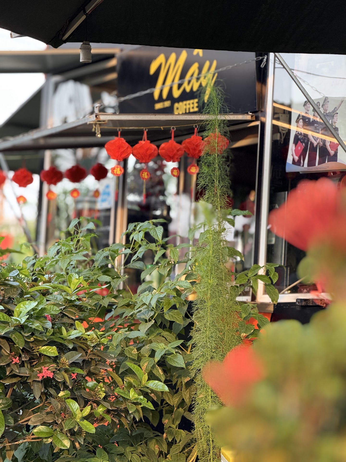 Cafe Mây ( khuyến mãi trà gừng ngon)