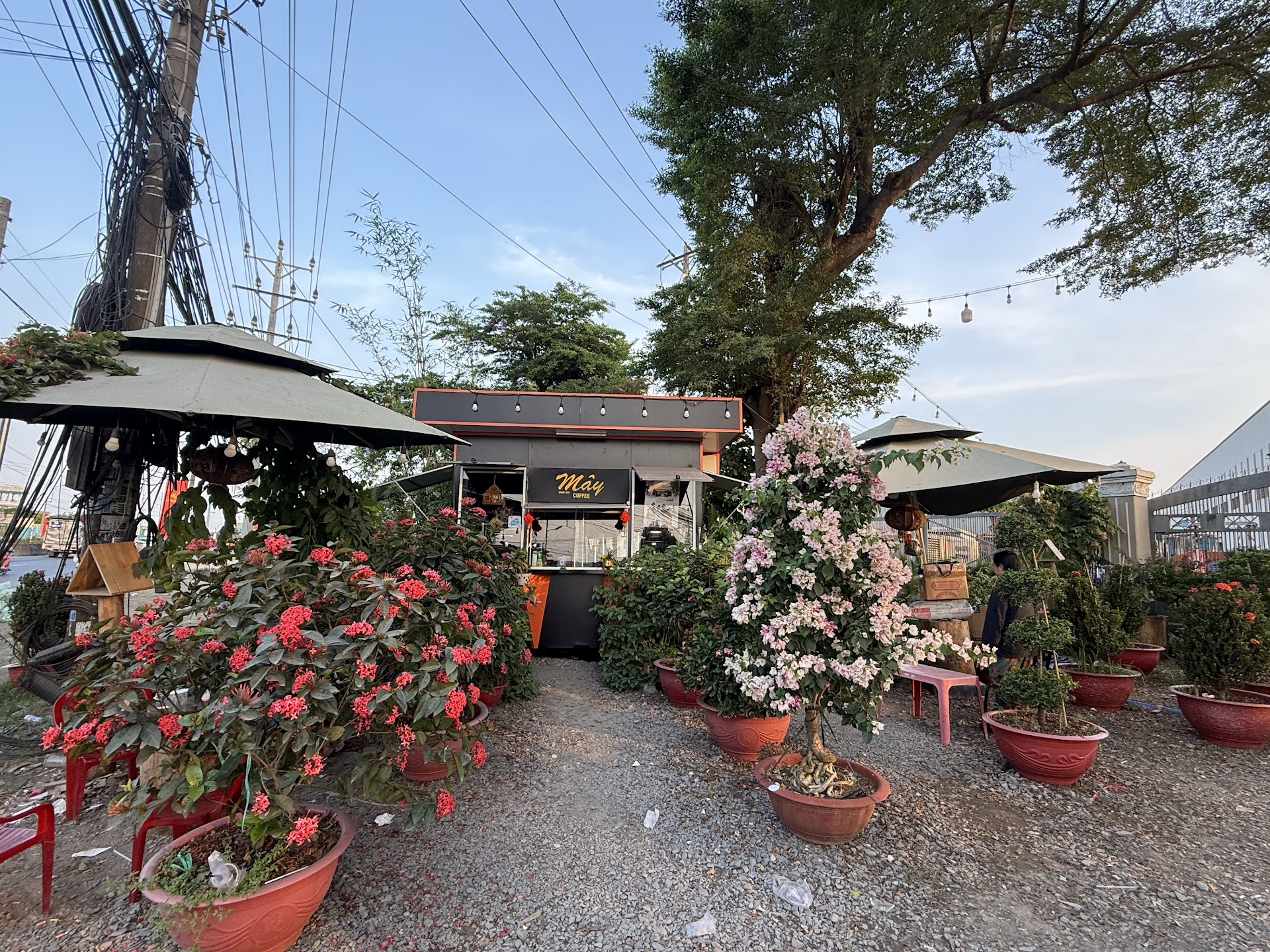 Cafe Mây ( khuyến mãi trà gừng ngon)