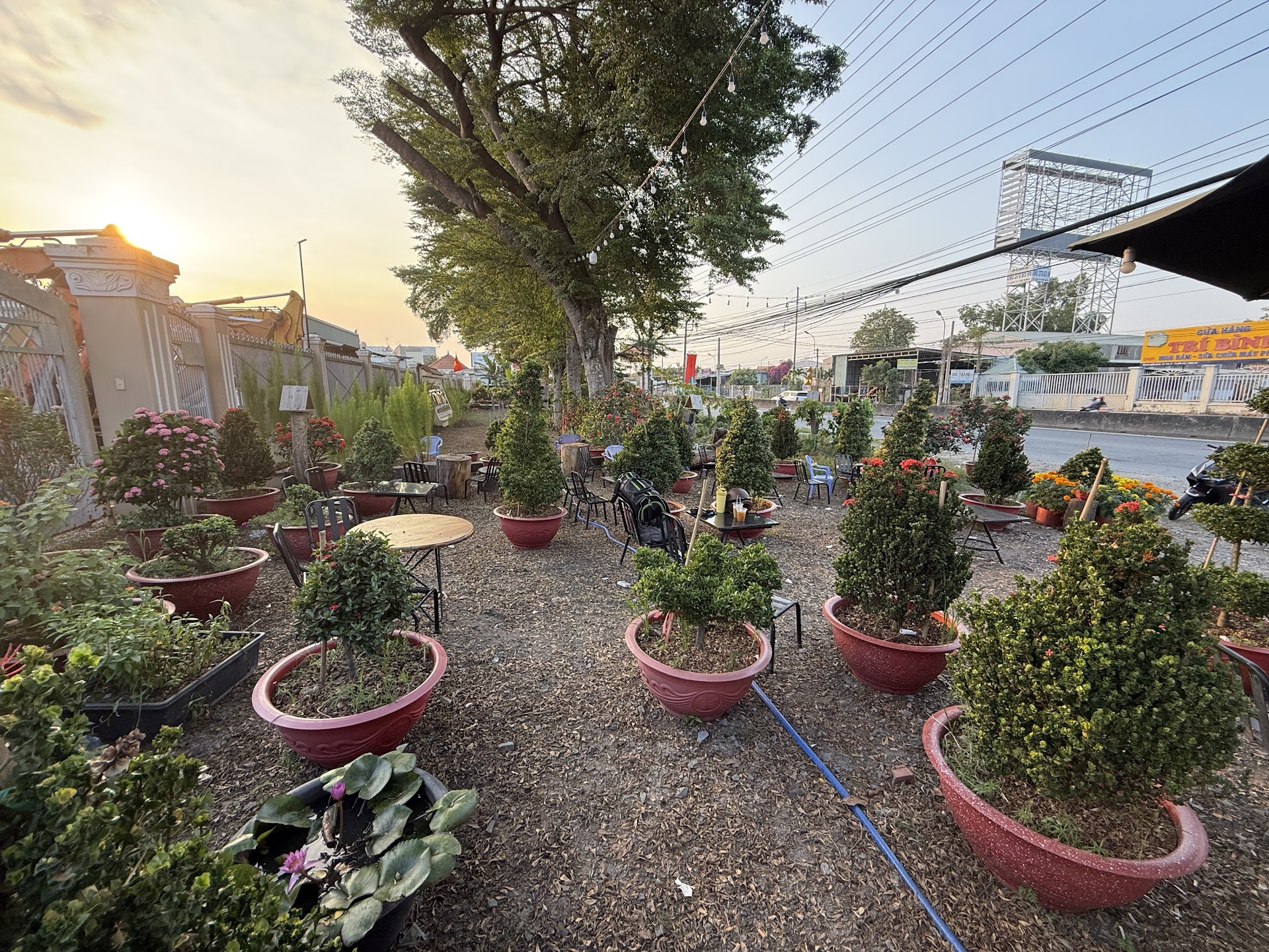 Cafe Mây ( khuyến mãi trà gừng ngon)