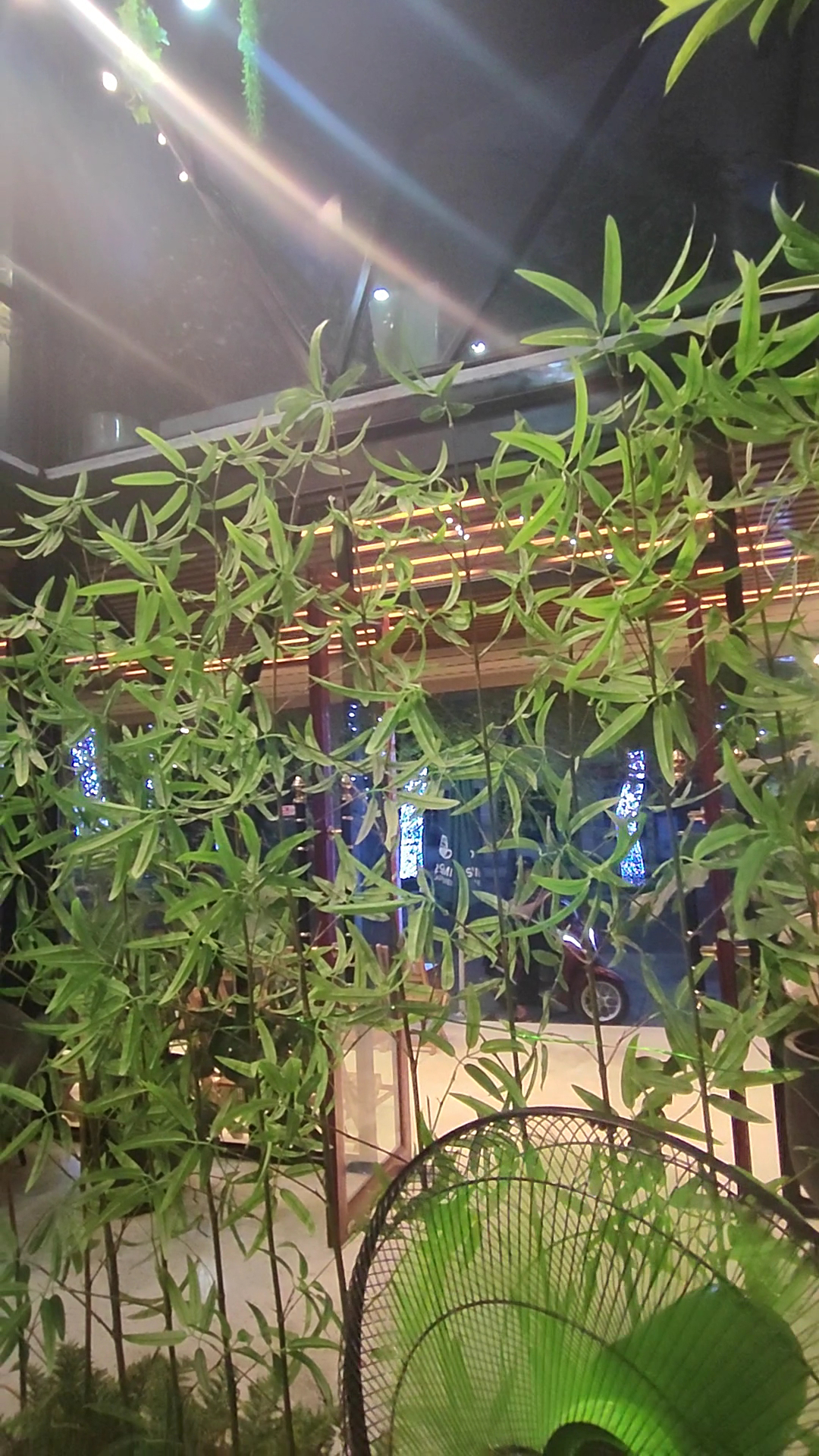 Cà phê sân vườn Soo Min