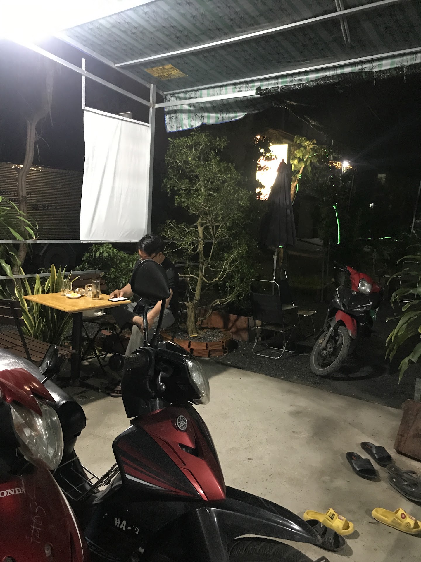 Cà phê sân vườn Cây Sung