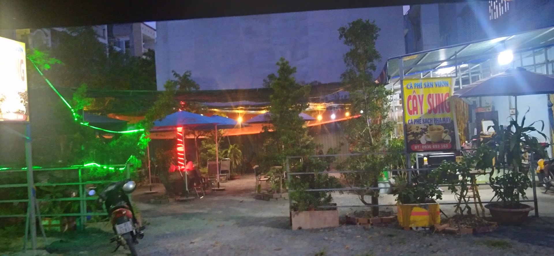 Cà phê sân vườn Cây Sung