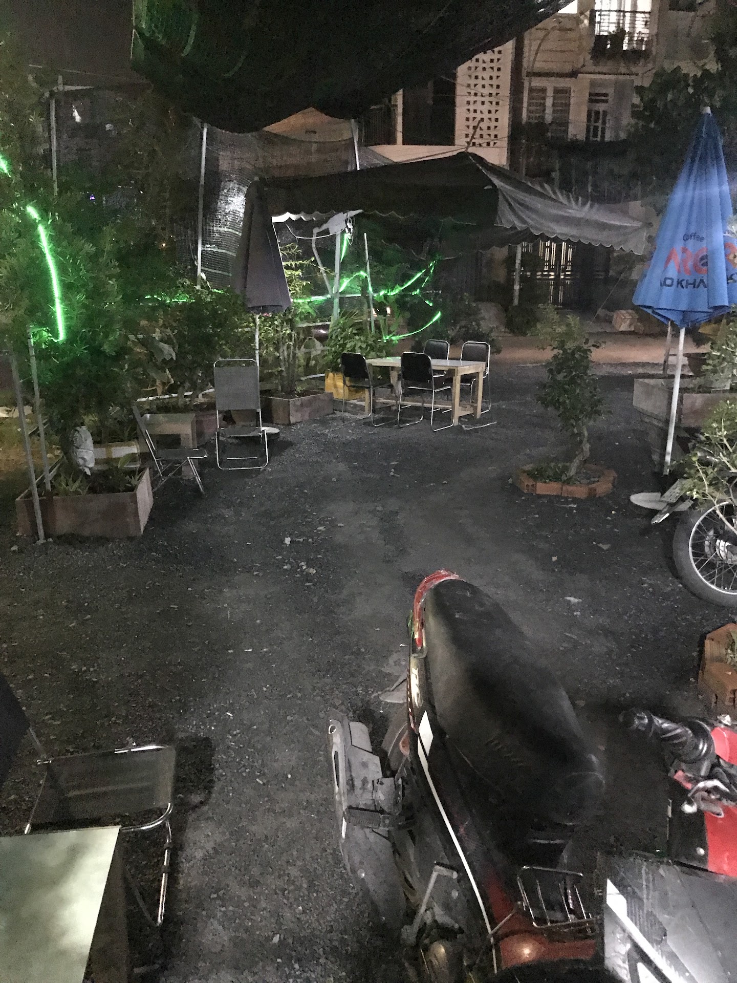 Cà phê sân vườn Cây Sung