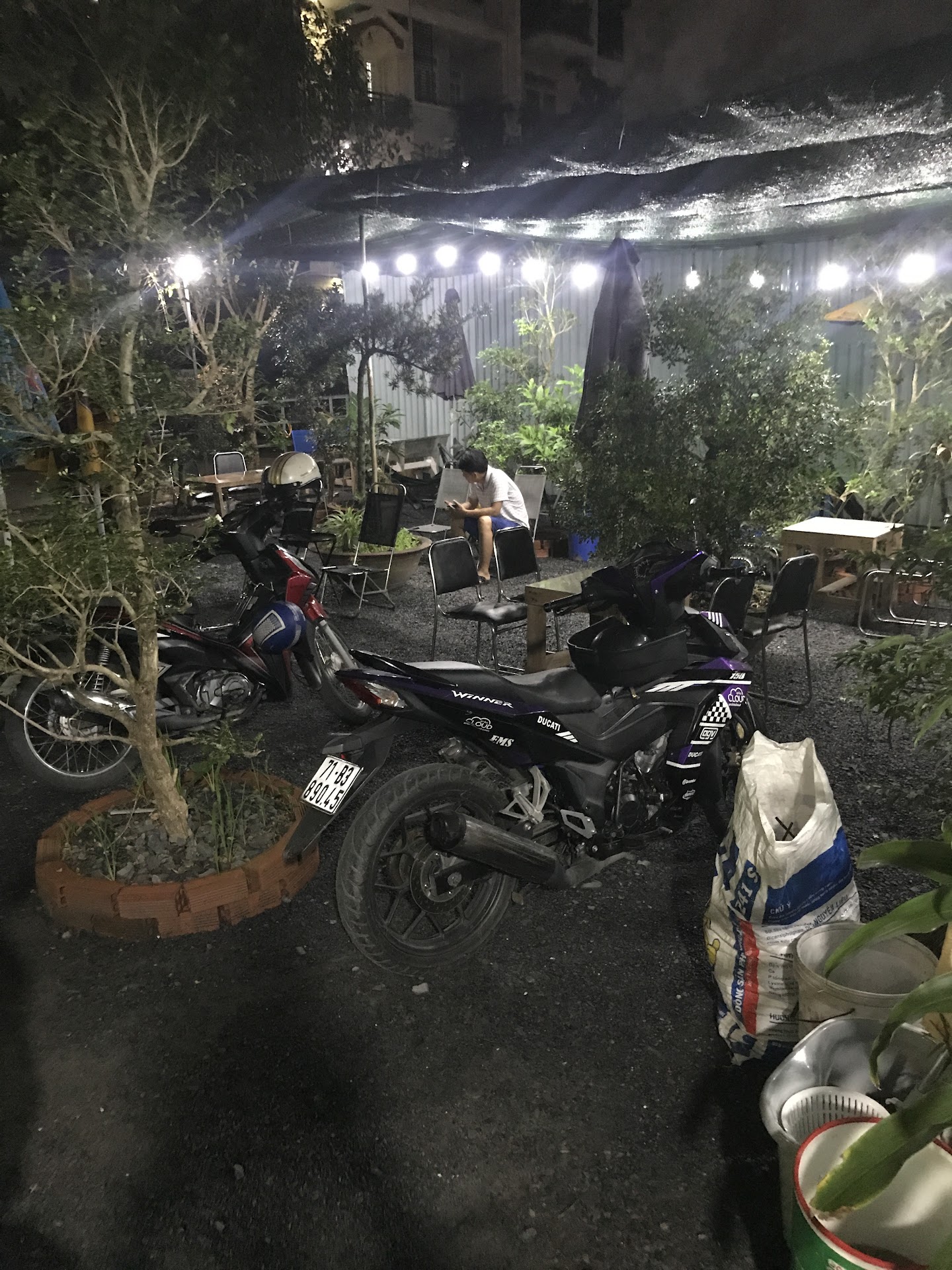 Cà phê sân vườn Cây Sung