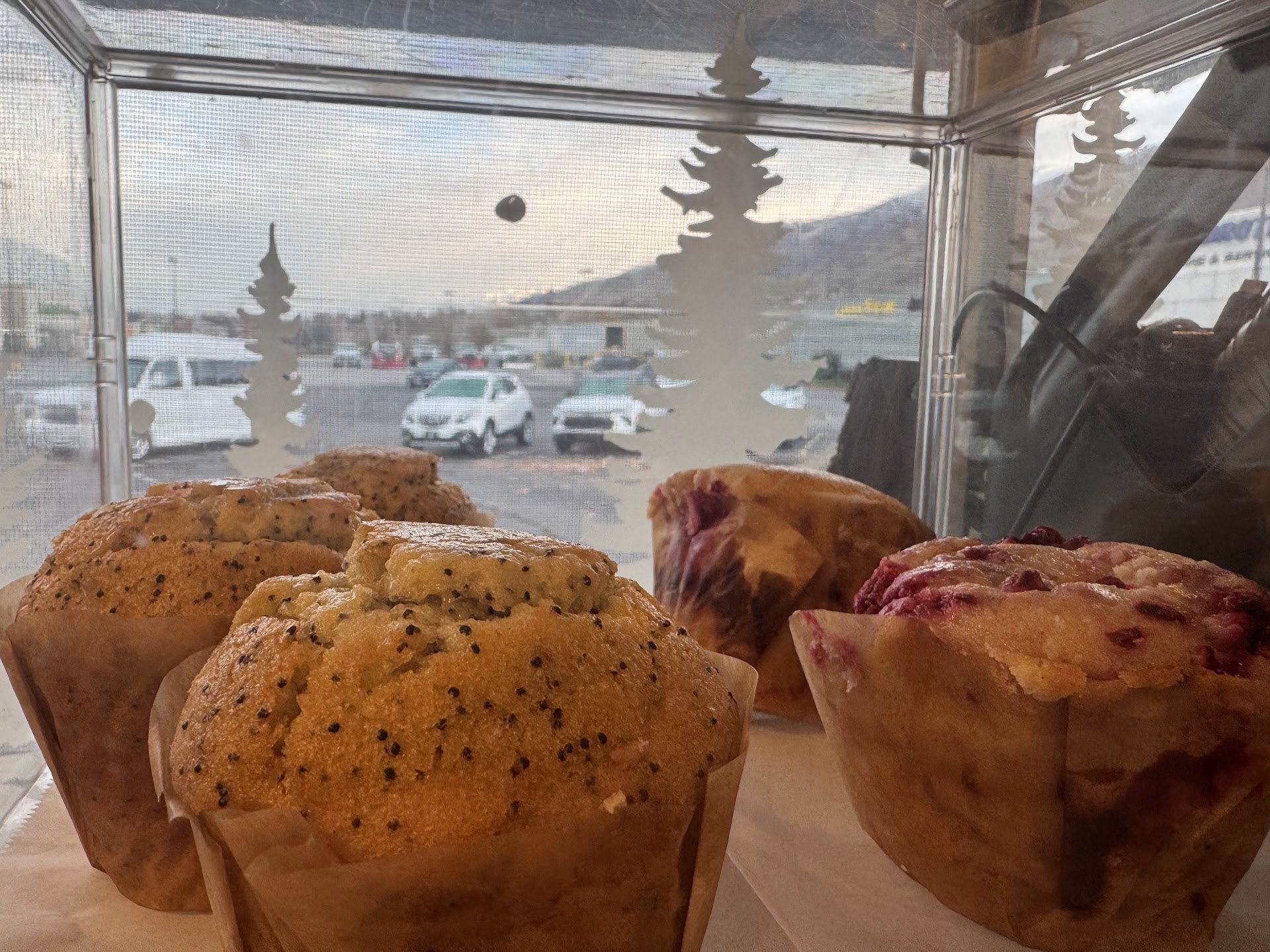 Witches Brew Coffee Company