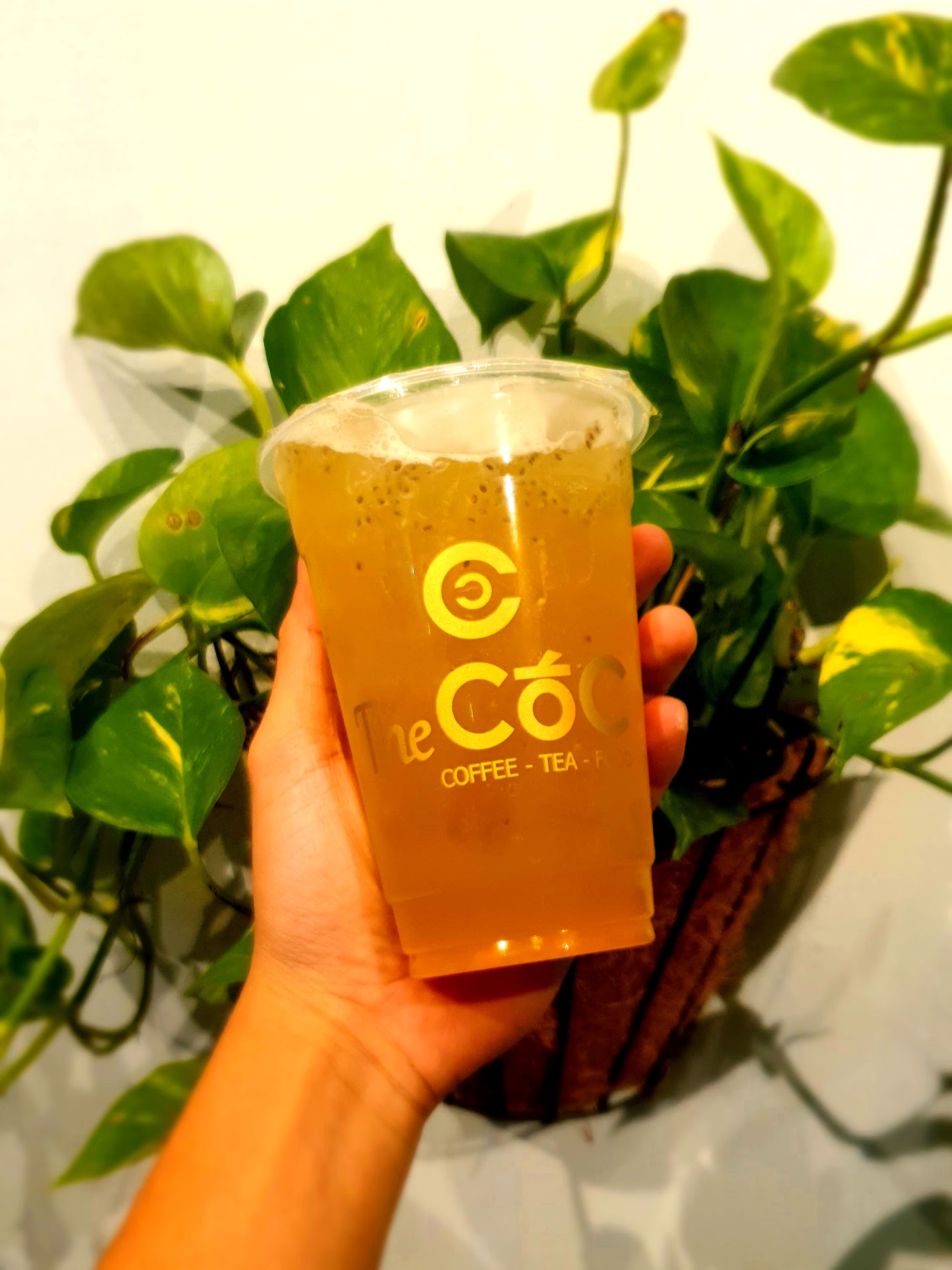 THE CỐC_BÌNH KHÁNH