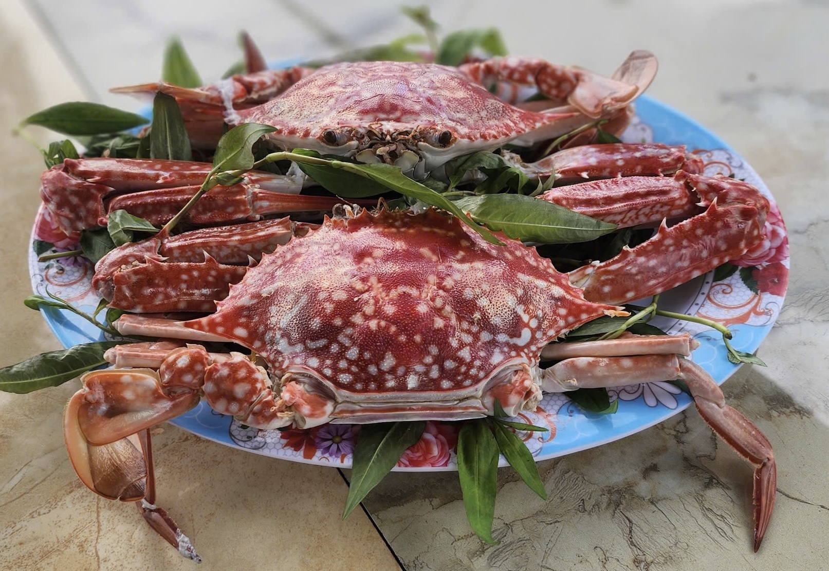 Quán Ngọc Hân - Hải sản tươi sống - camping - khô cá dứa 1 nắng