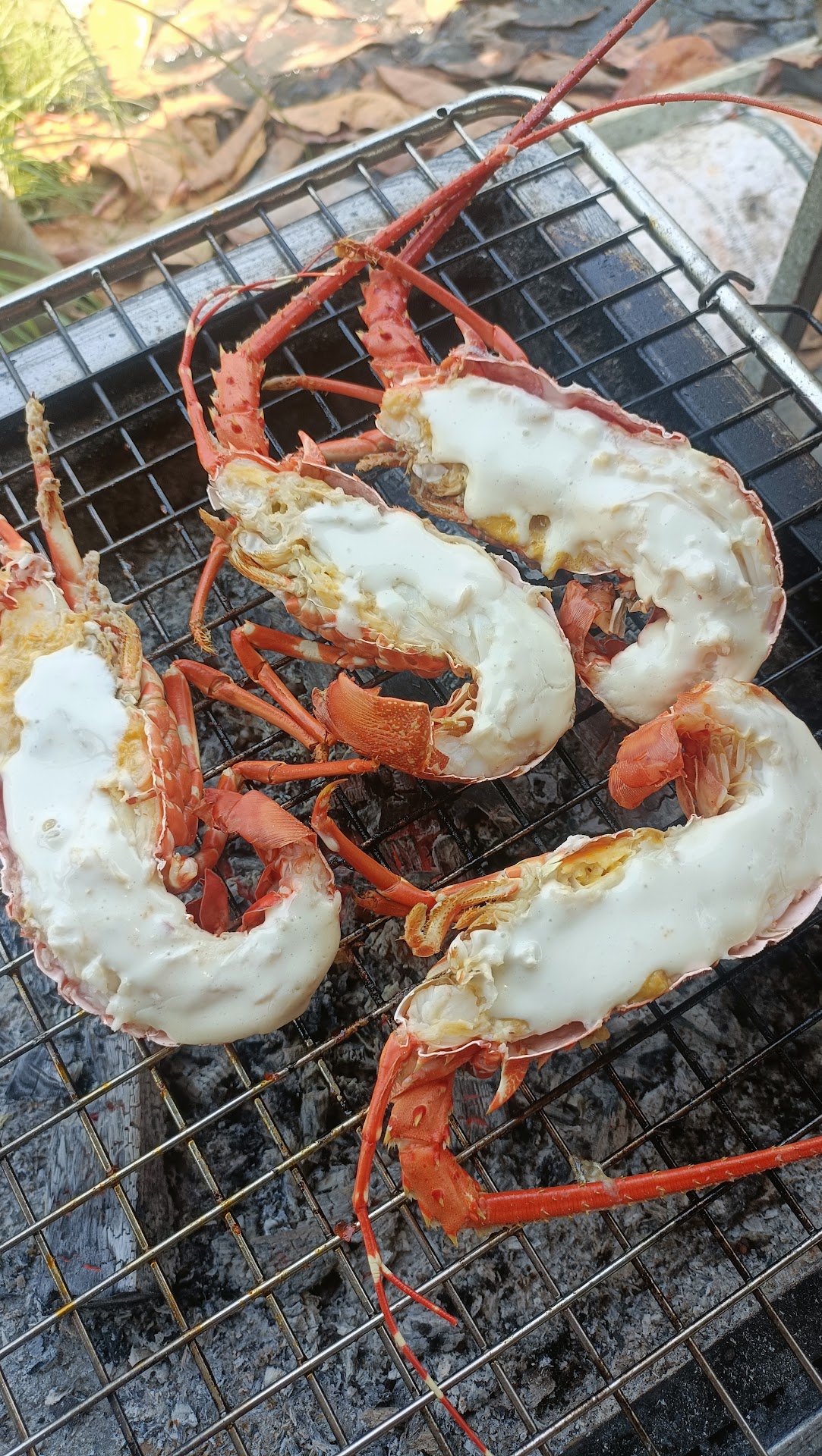 Quán Ngọc Hân - Hải sản tươi sống - camping - khô cá dứa 1 nắng