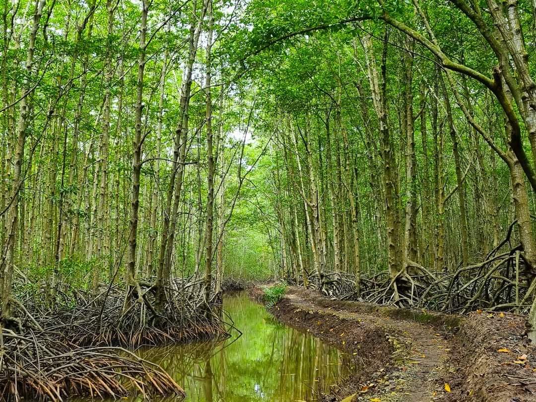 Khu căn cứ Vàm Sát Đảo Khỉ