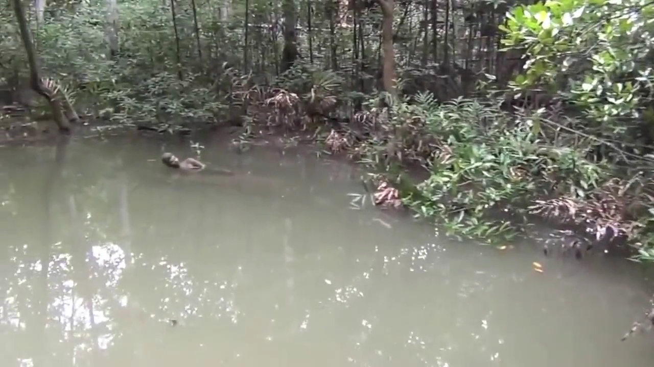 Khu căn cứ Vàm Sát Đảo Khỉ