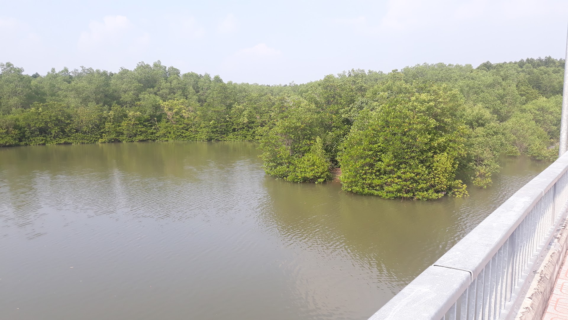 "Ngã 3 Sống Ảo" Lâm Viên - Đồng Đình, Rừng Sác