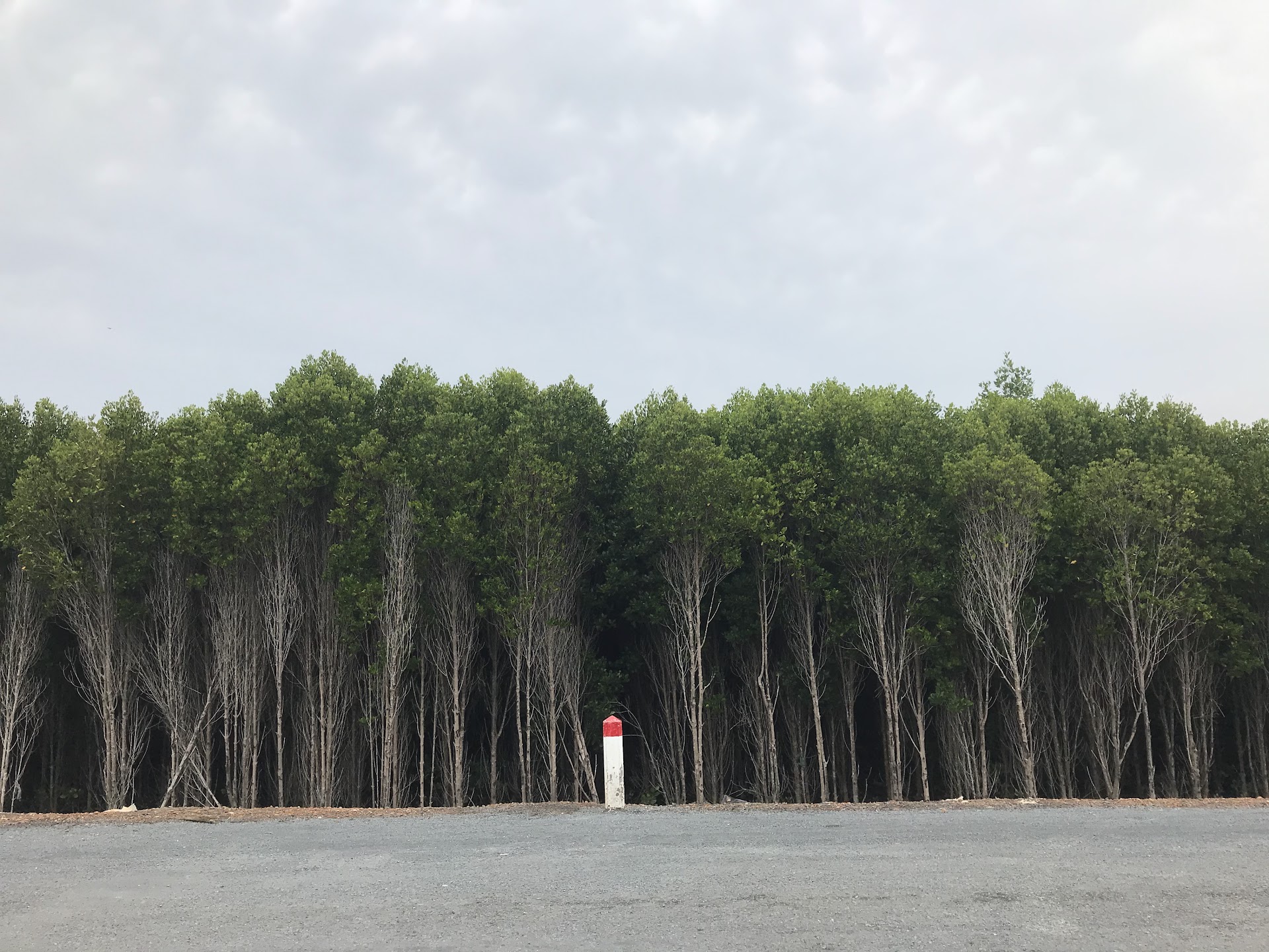 "Ngã 3 Sống Ảo" Lâm Viên - Đồng Đình, Rừng Sác