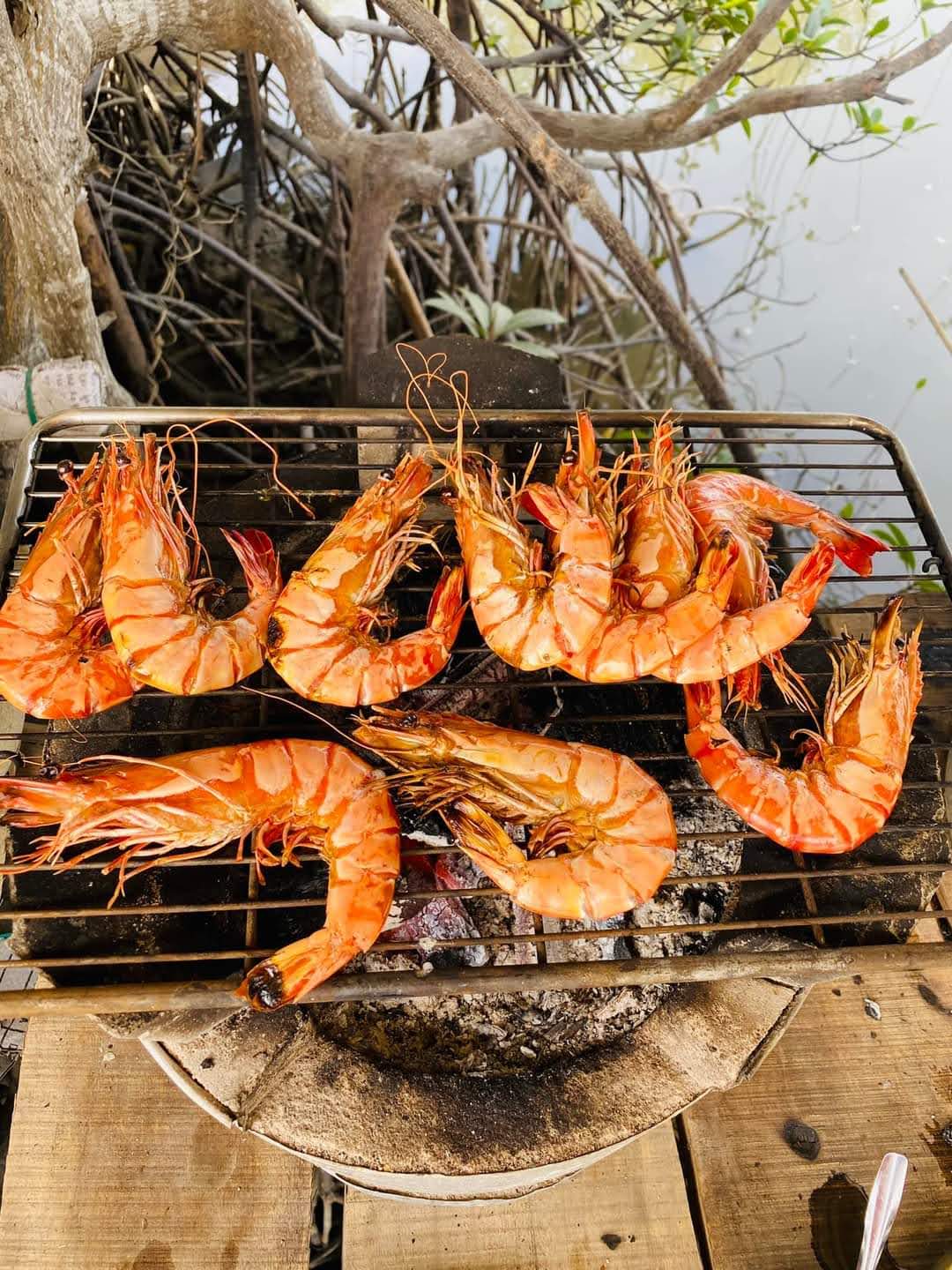 Bè hào Đực Huệ