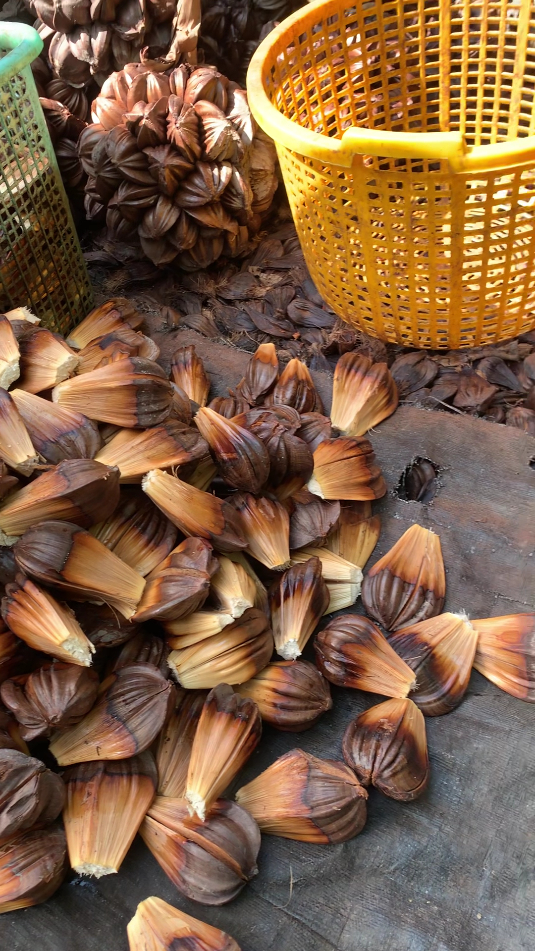 Dừa Nước Hương