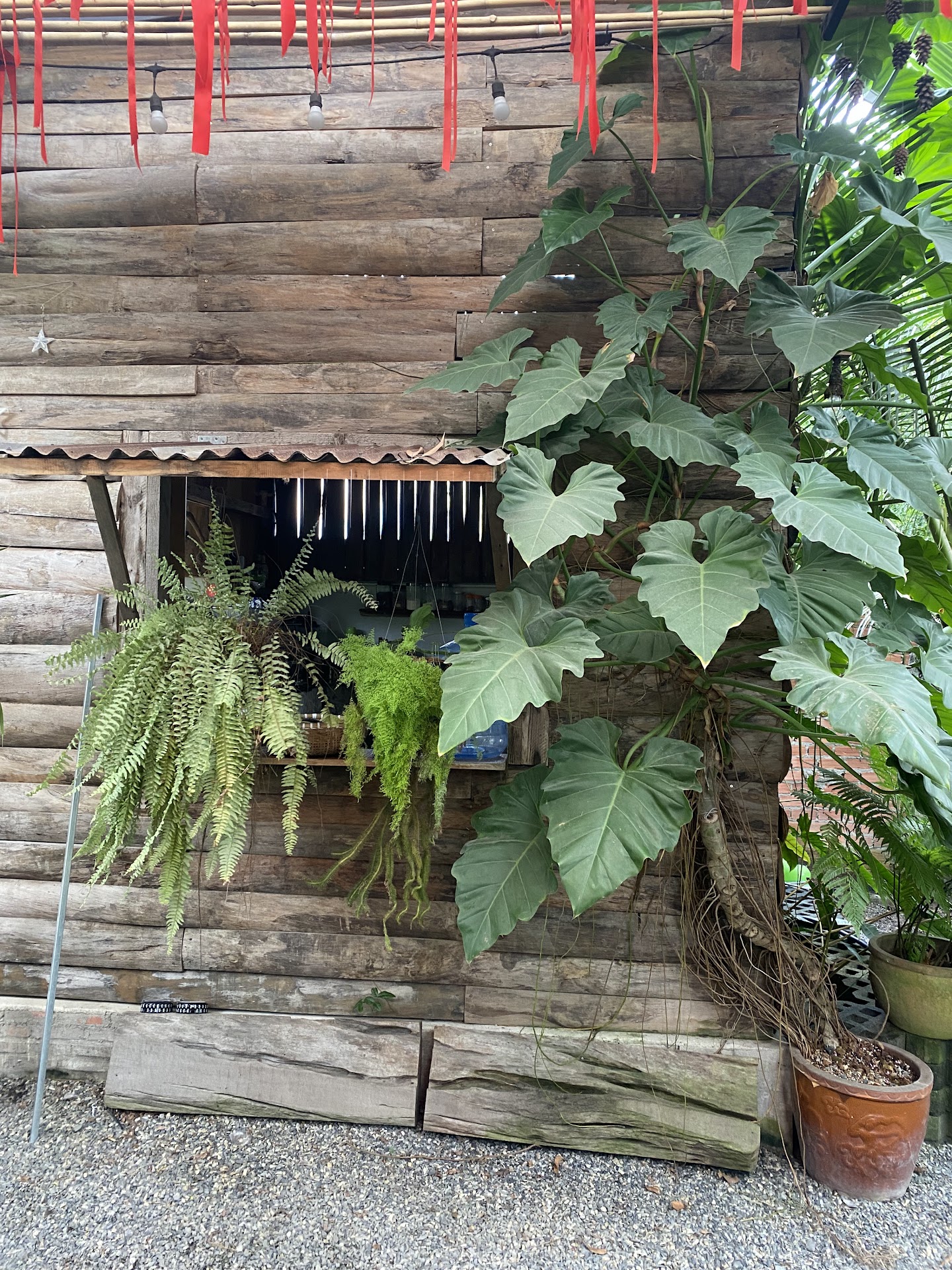 Tiệm Cà Phê Mây