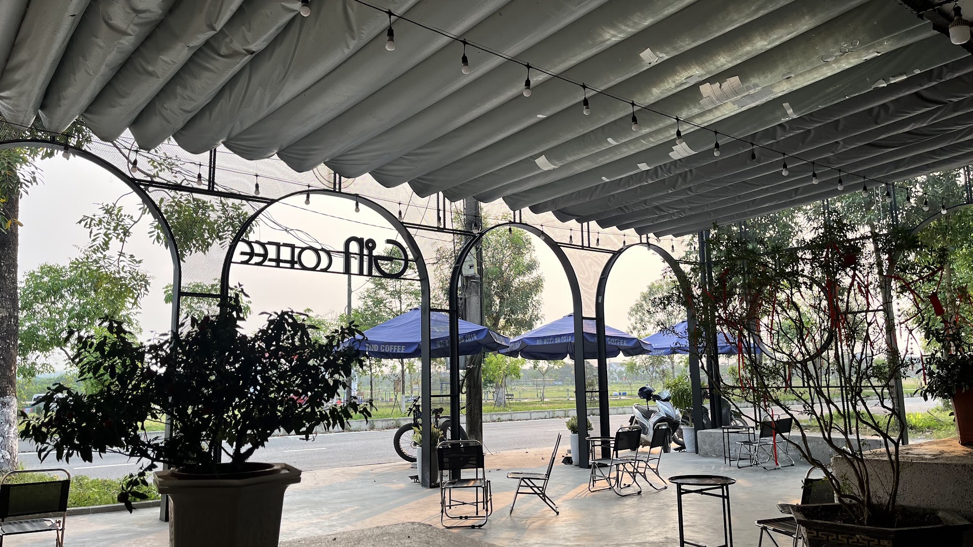 Gin Coffee & Milk Tea