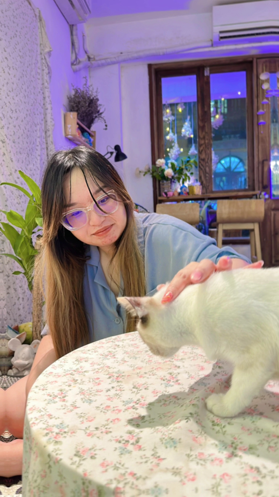 Oleoleo Coffee & Cats