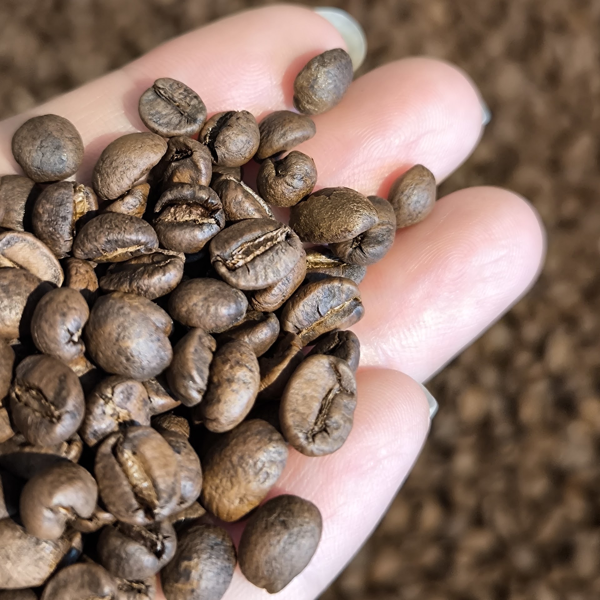 Ta Cà Phê 3 - (Roastery - Ha Noi Specialty Coffee)