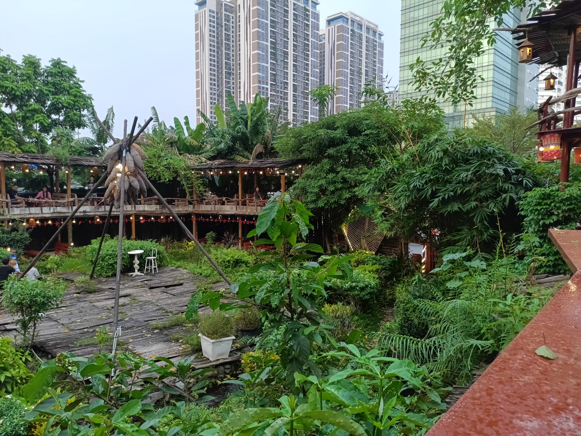 TreeBee Coffee- Rừng