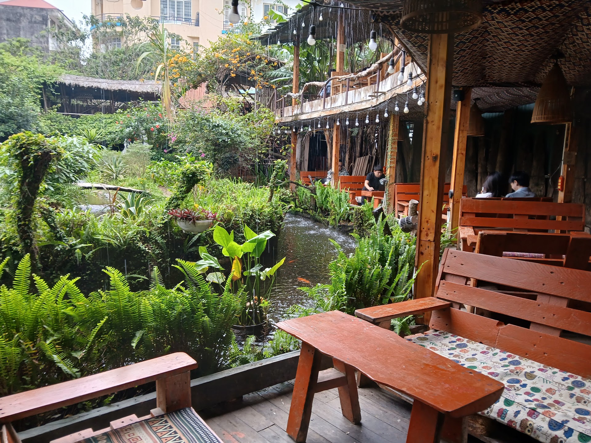 TreeBee Coffee- Rừng