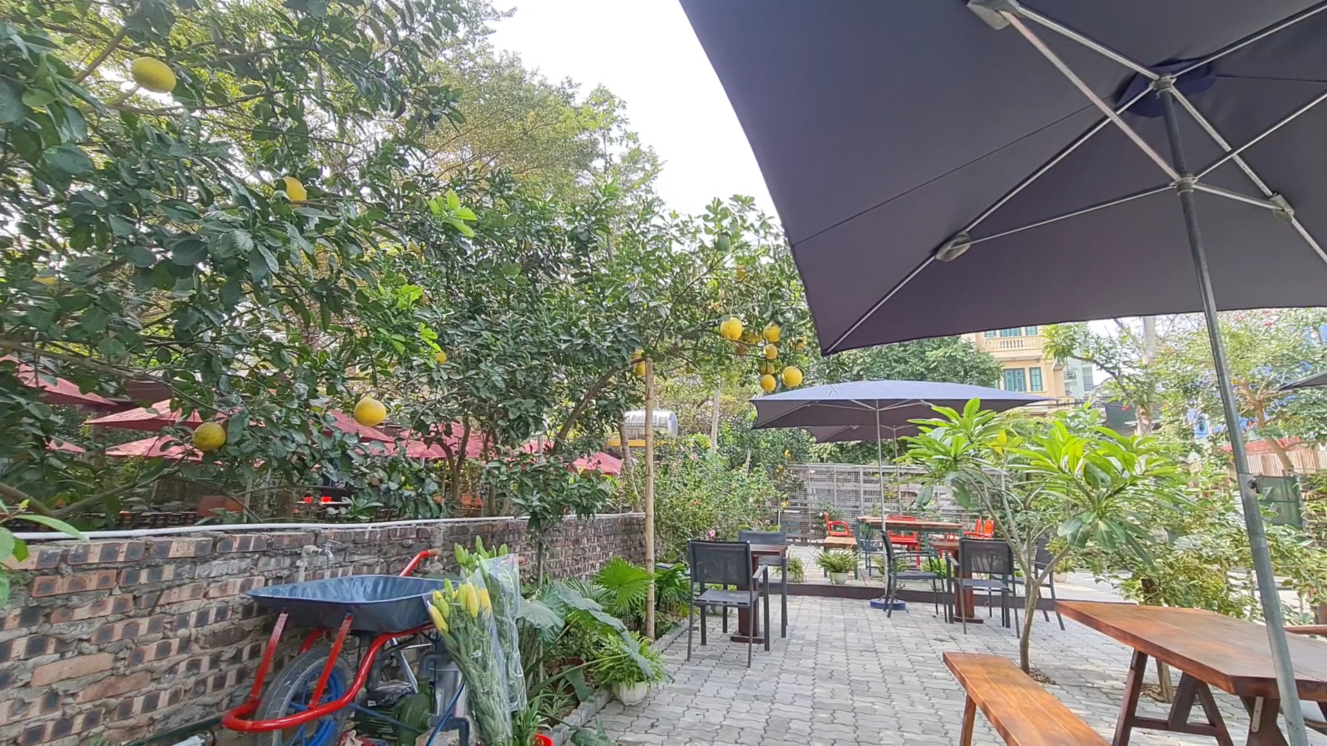 Ta Cà Phê 2 (Roastery-Tay Ho Specialty Coffee)