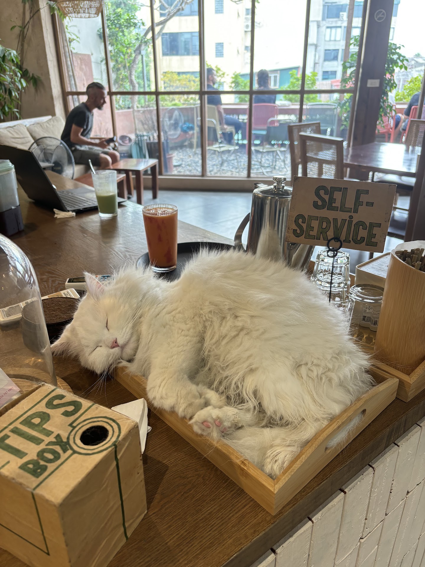 Terra Café & Workshops