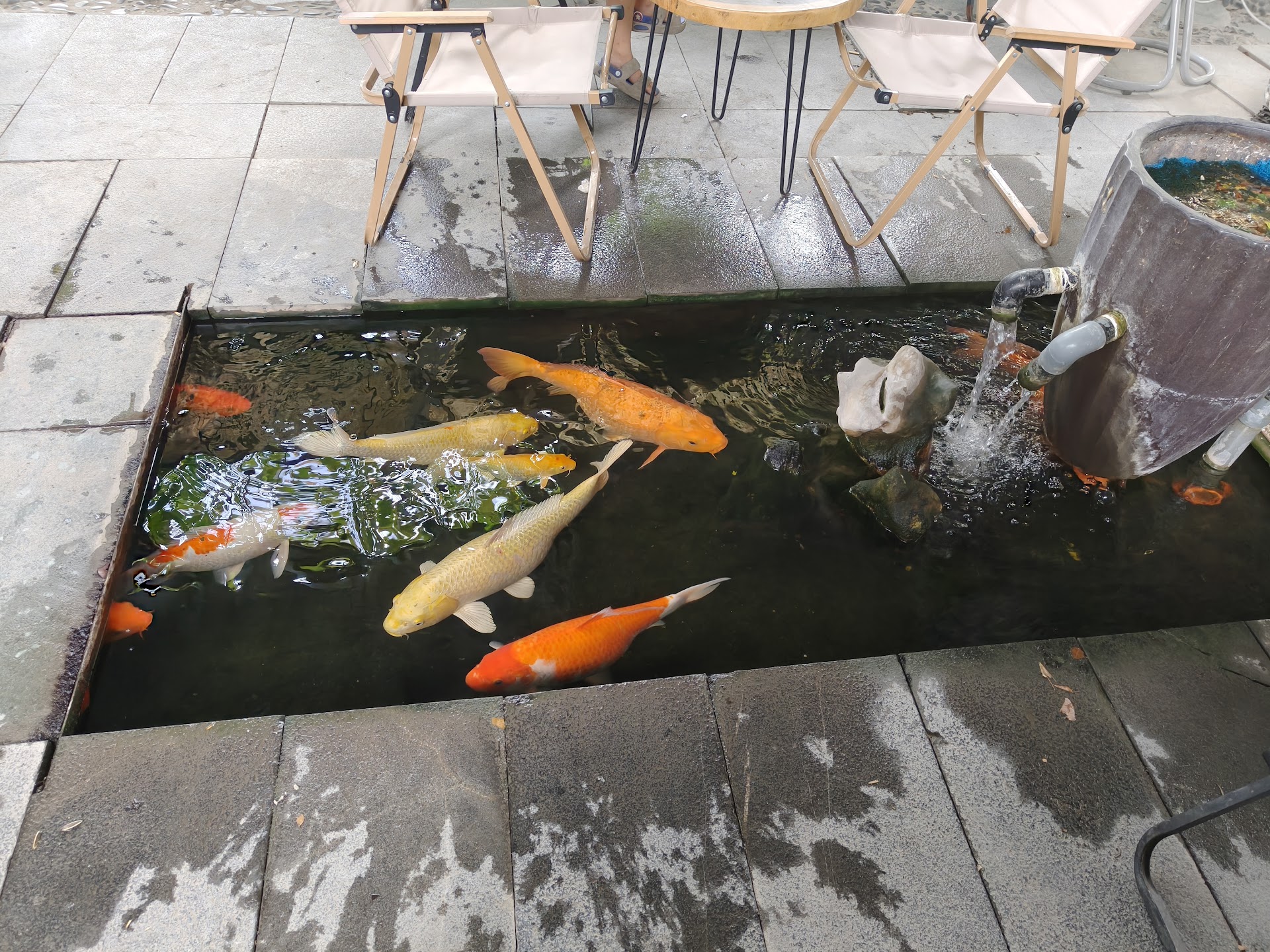 Garden Coffee Đội Cấn