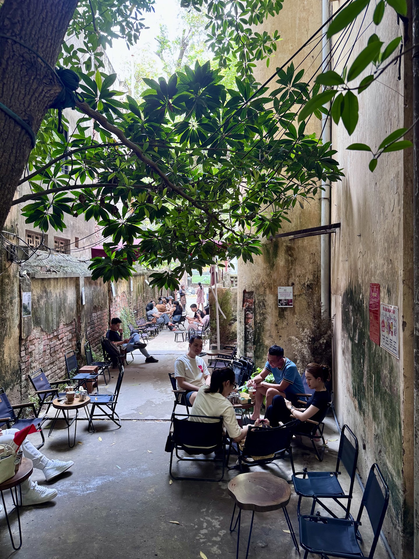 8am Coffee & Roastery