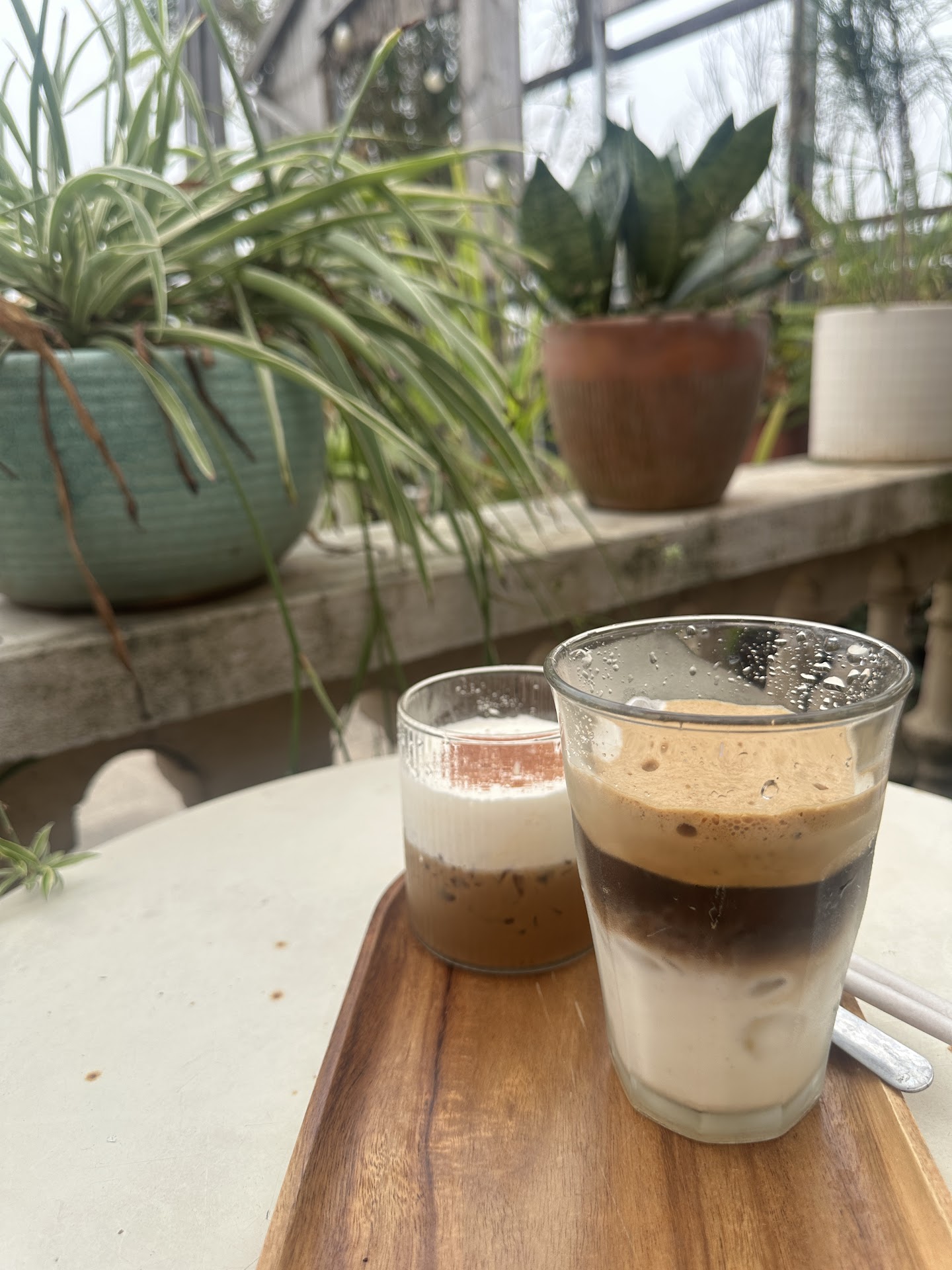 Olive coffee and studio