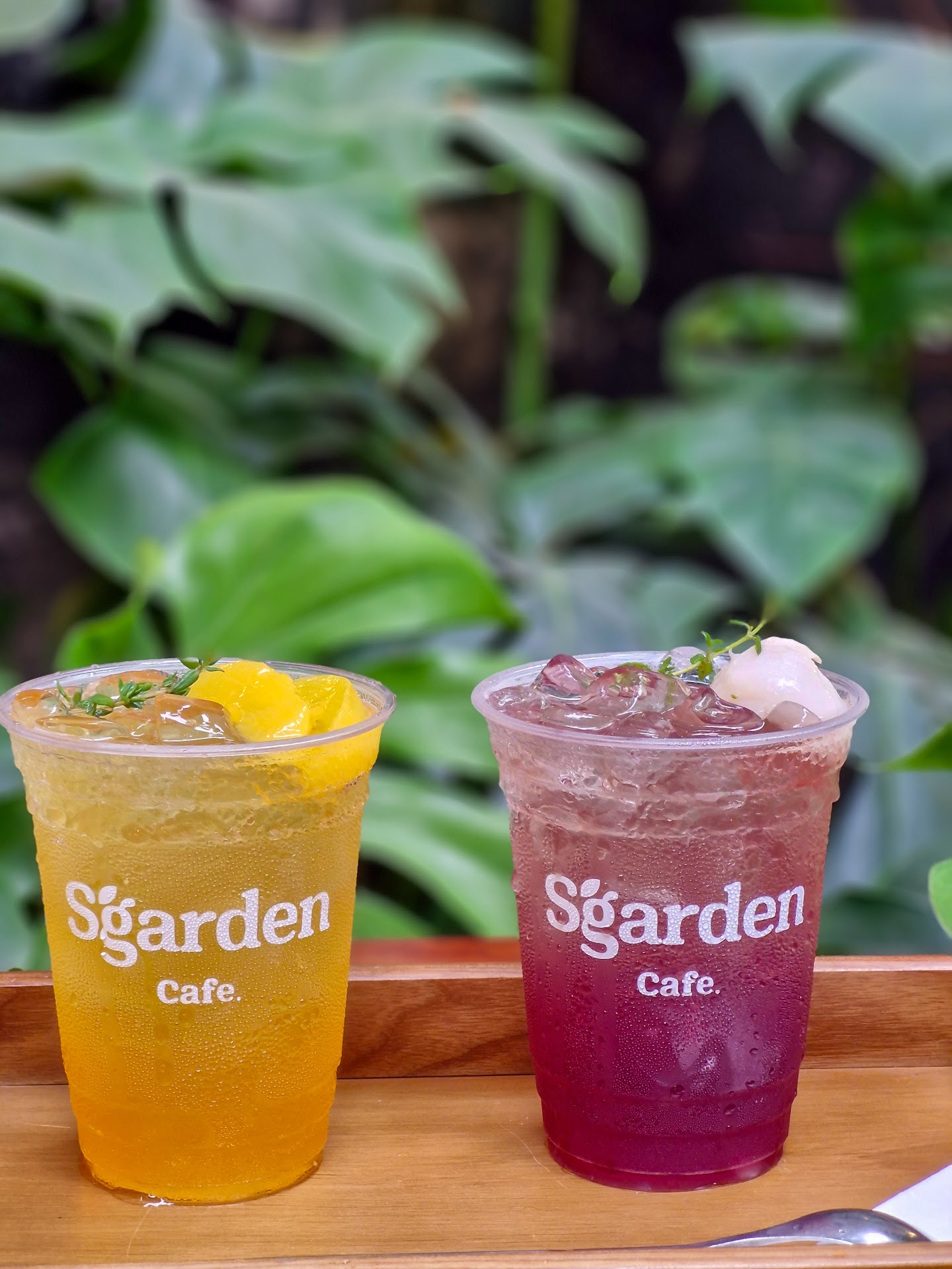 Sgarden Cafe