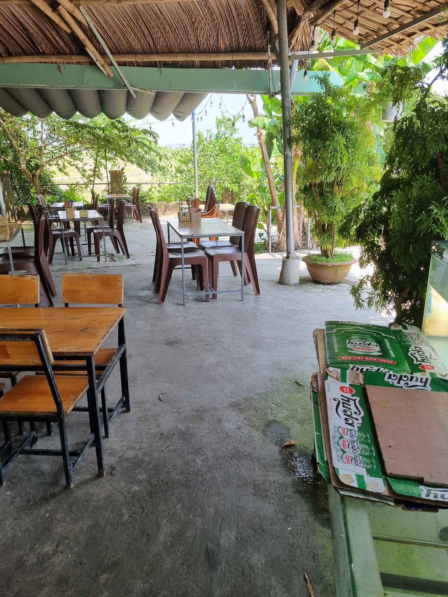 Quán nhậu Cây Me, Ăn cá diếc ngon