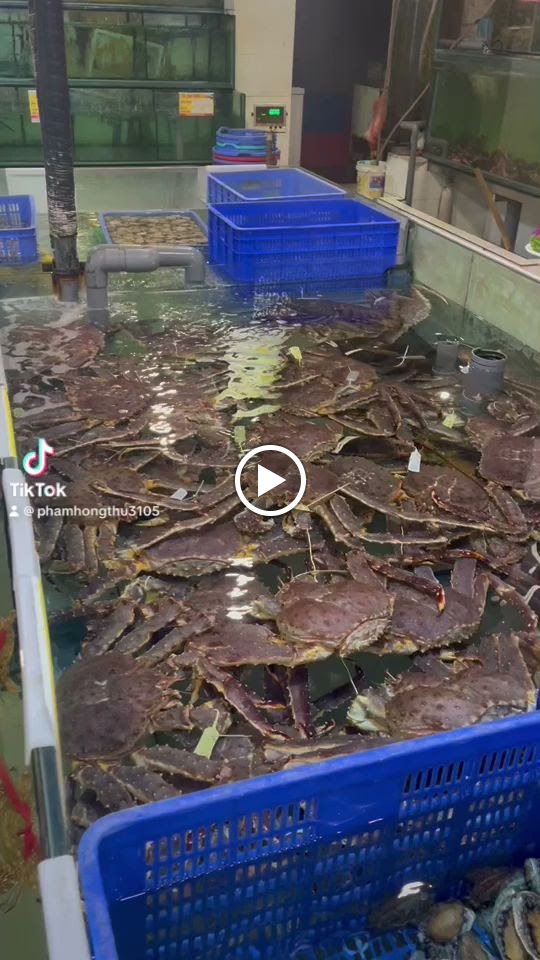 Nhà Hàng Hải Sản Biển Đông