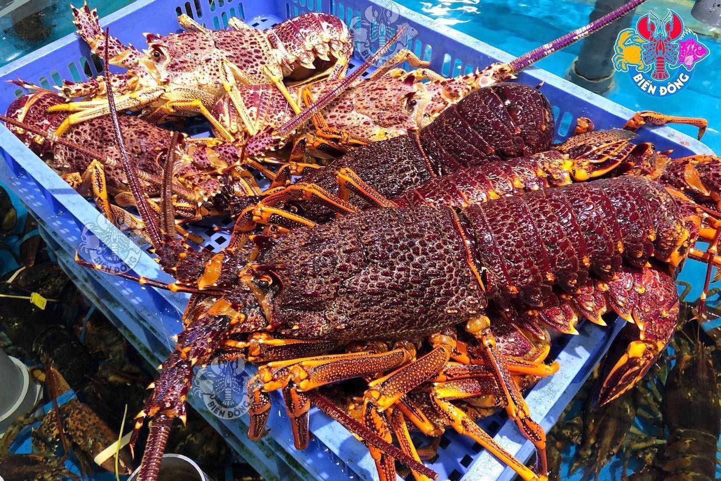 Nhà Hàng Hải Sản Biển Đông