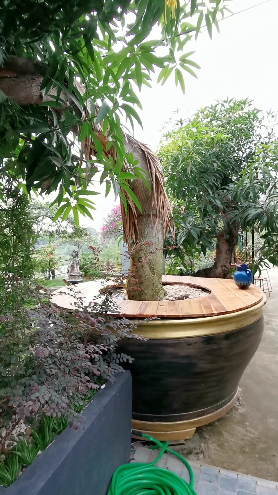 Bonsai Coffee Bát Tràng